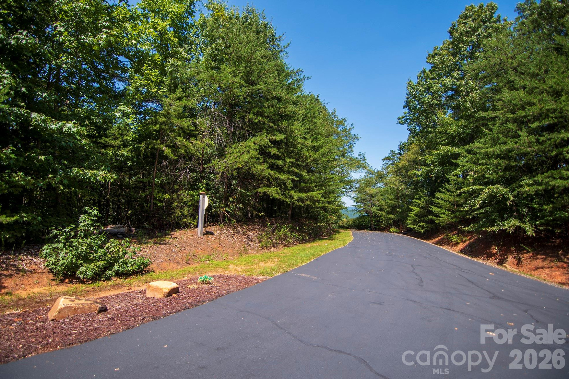 0 Pioneer Gate Drive #55 - Photo 2