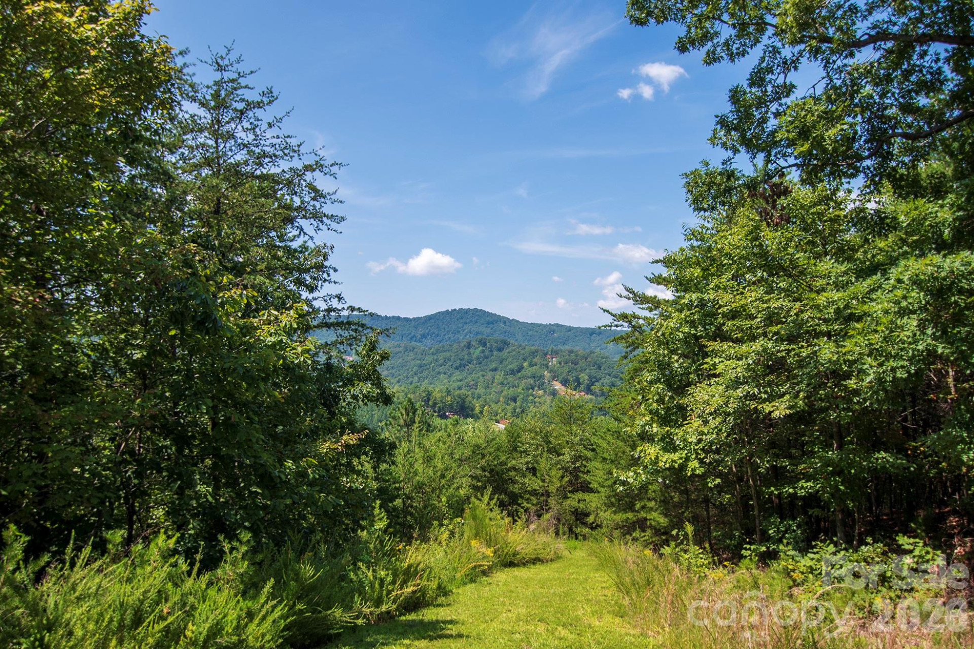 0 Pioneer Gate Drive #55 - Photo 3