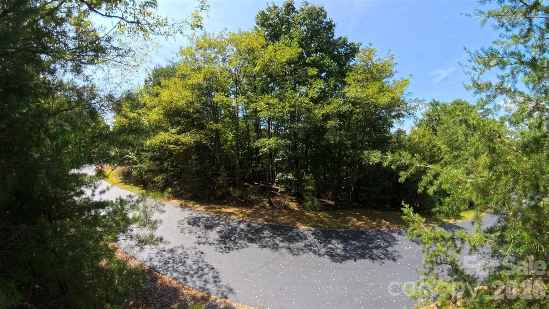 0 Pioneer Gate Drive #55 - Photo 6