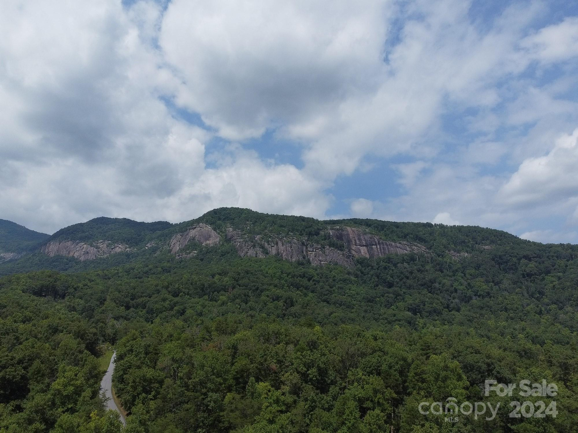 0 Mintwood Court #11 - Photo 11