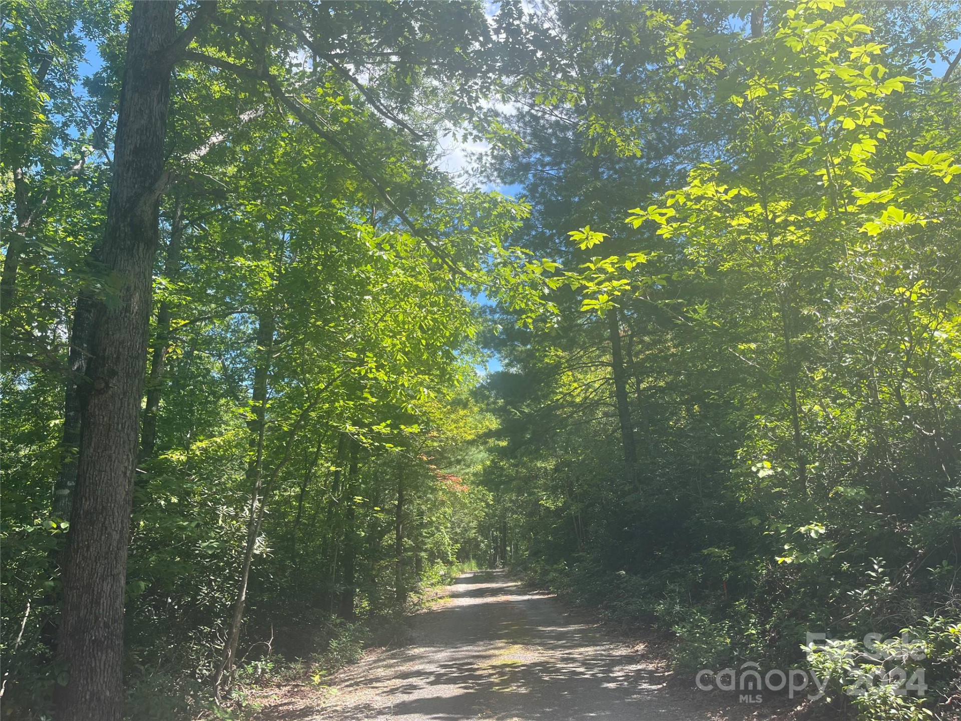 0 Mintwood Court #11 - Photo 4