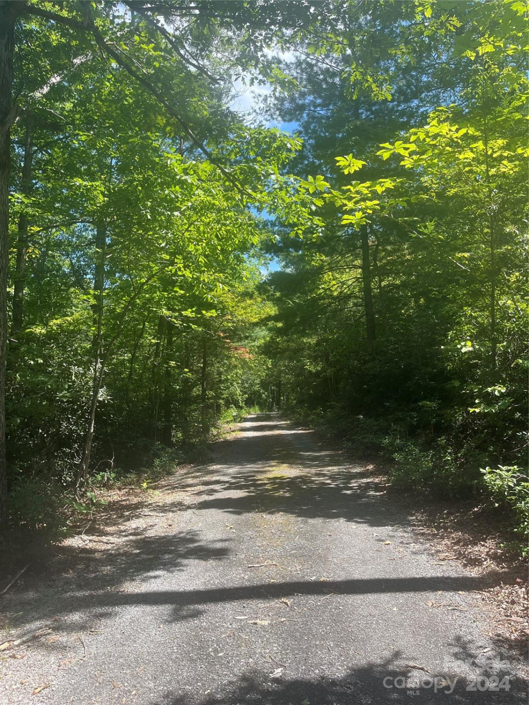 0 Mintwood Court #11 - Photo 5