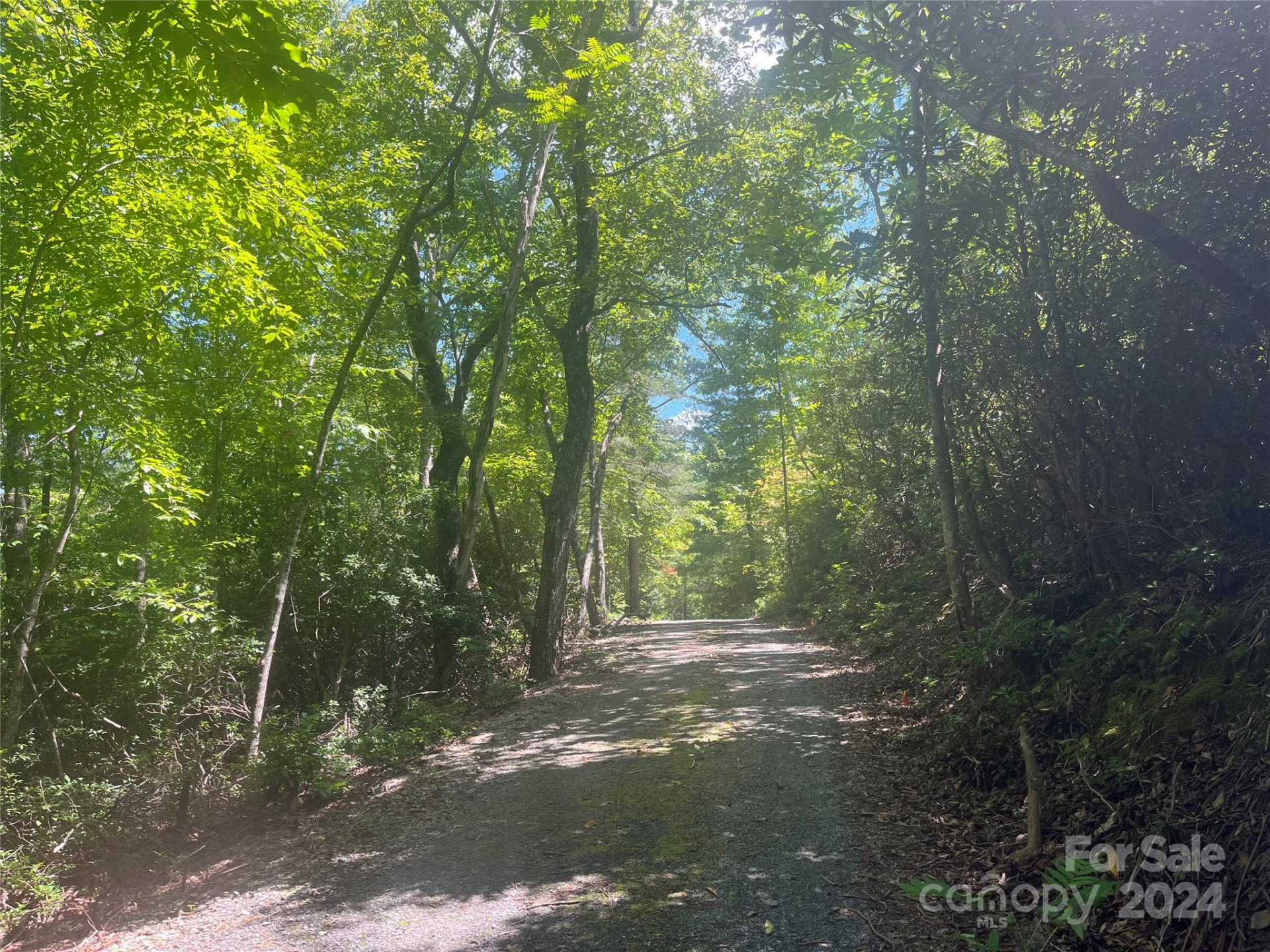 0 Mintwood Court #11 - Photo 6