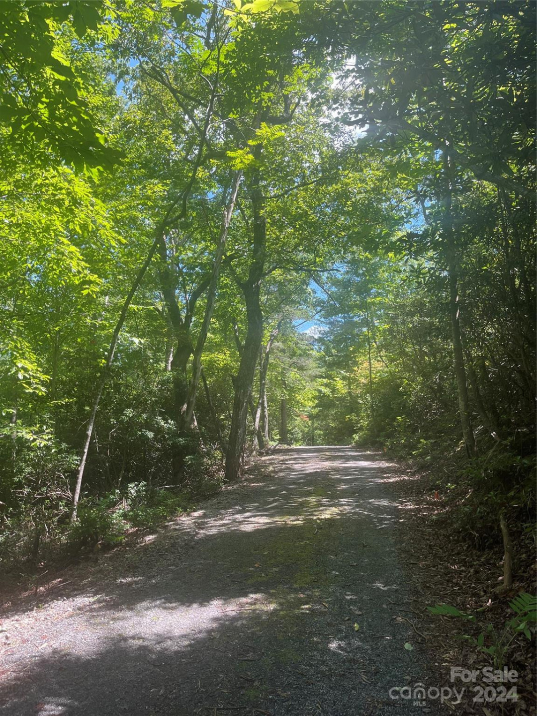 0 Mintwood Court #11 - Photo 7