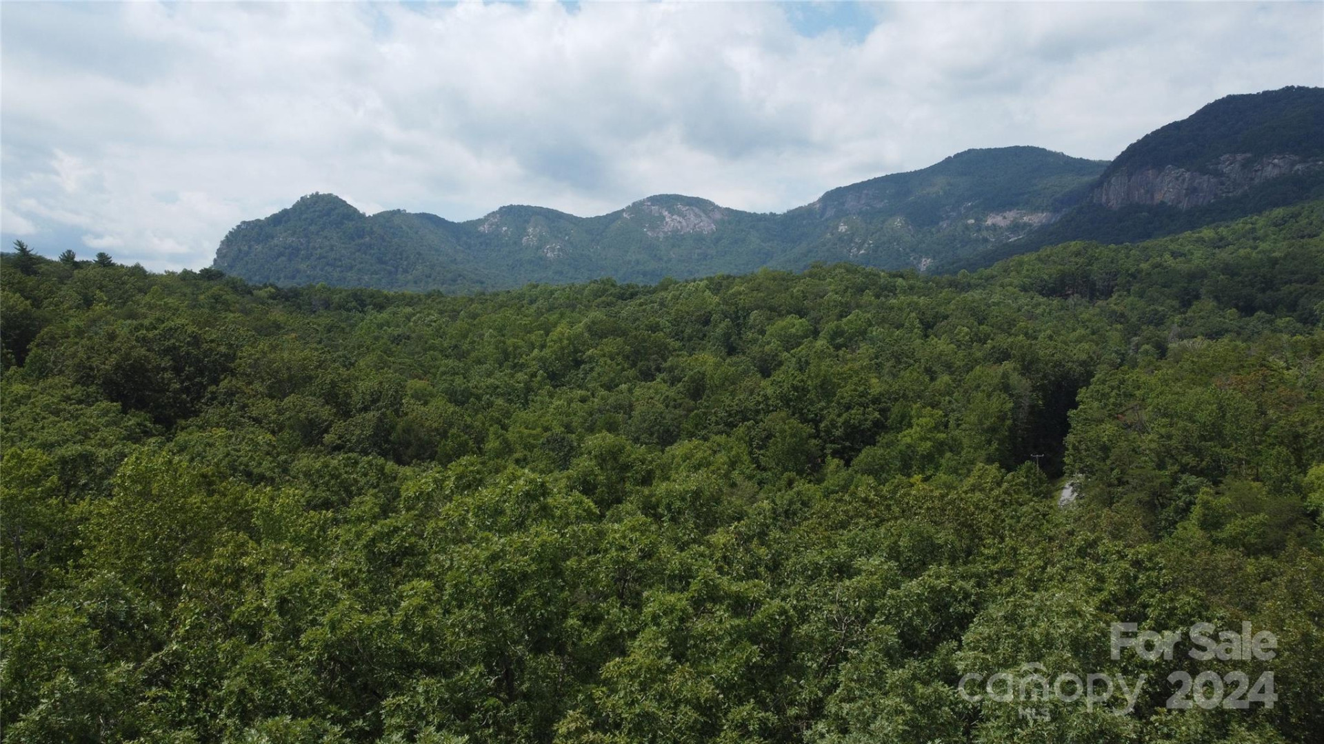 0 Mintwood Court #11 - Photo 8