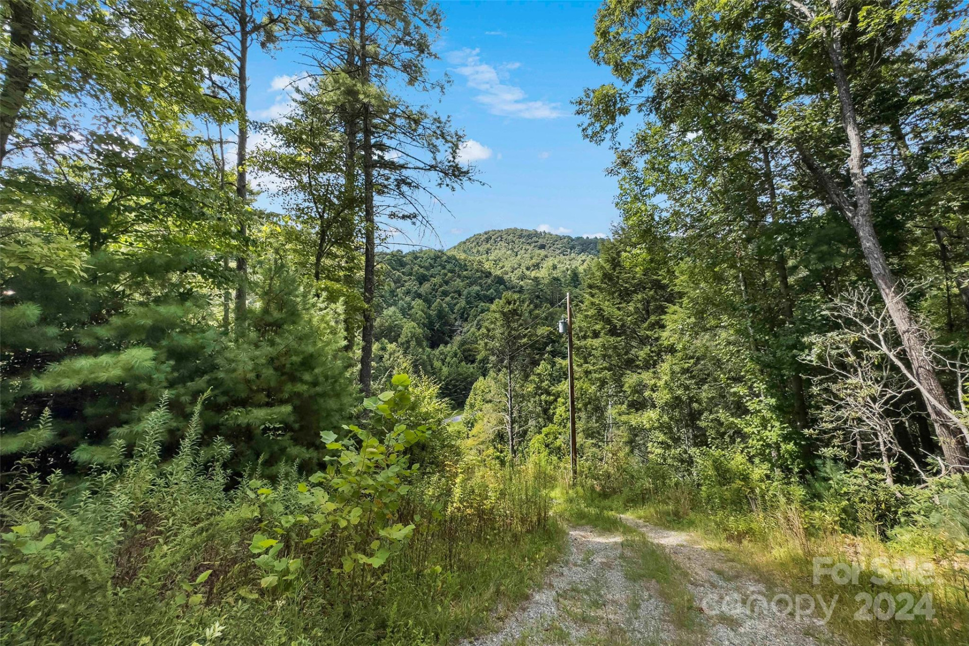 1265 Stackhouse Road - Photo 5