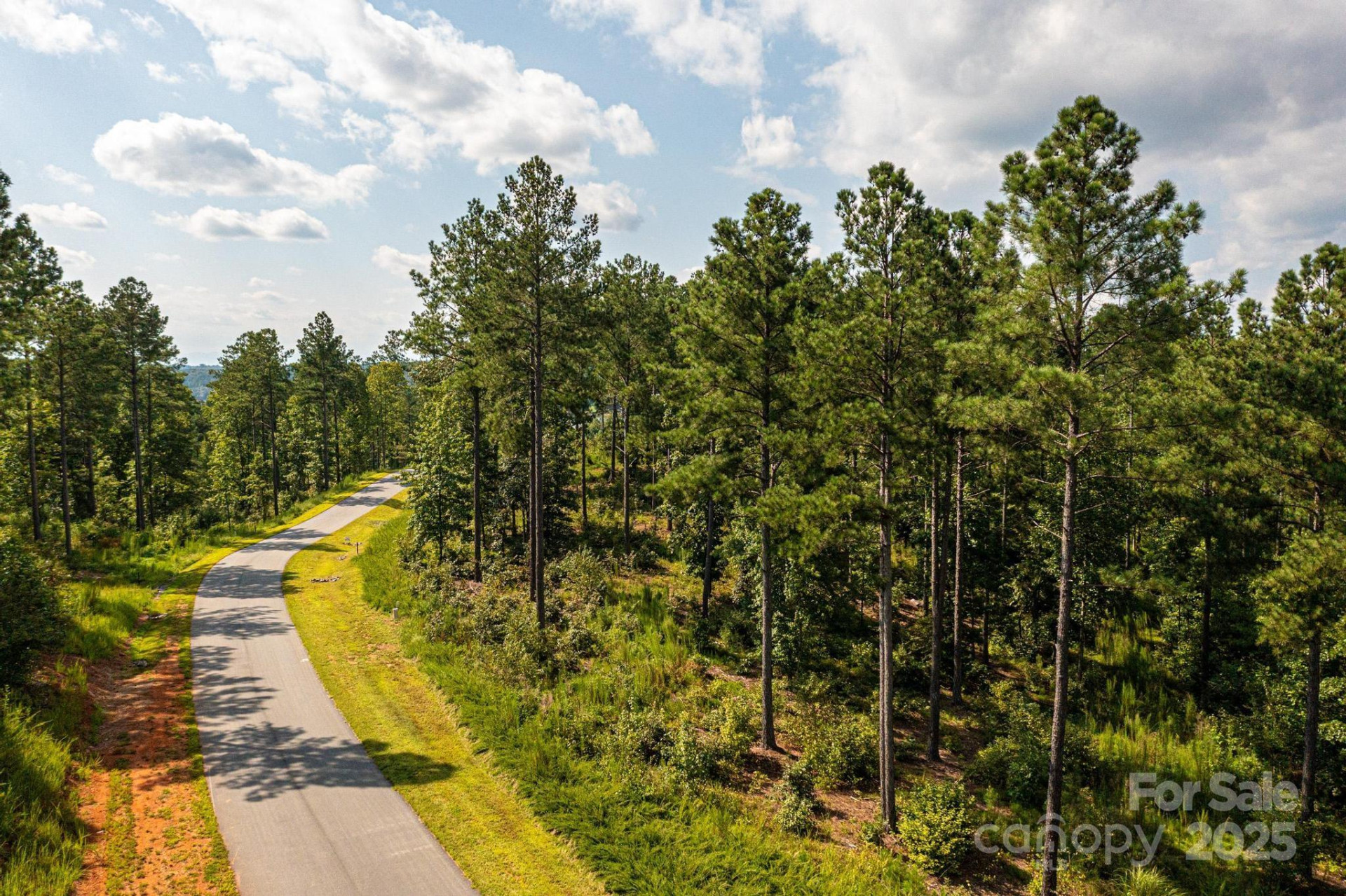 3112 Belford Trail #165 - Photo 4