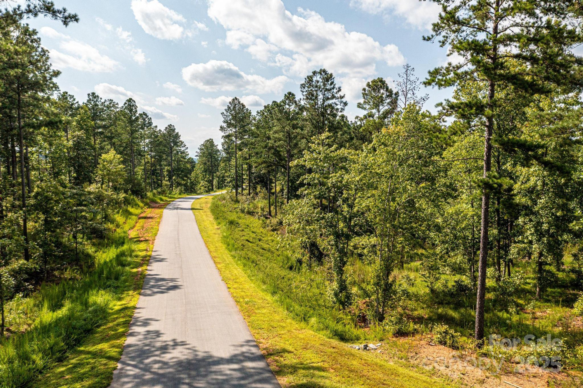 3112 Belford Trail #165 - Photo 5