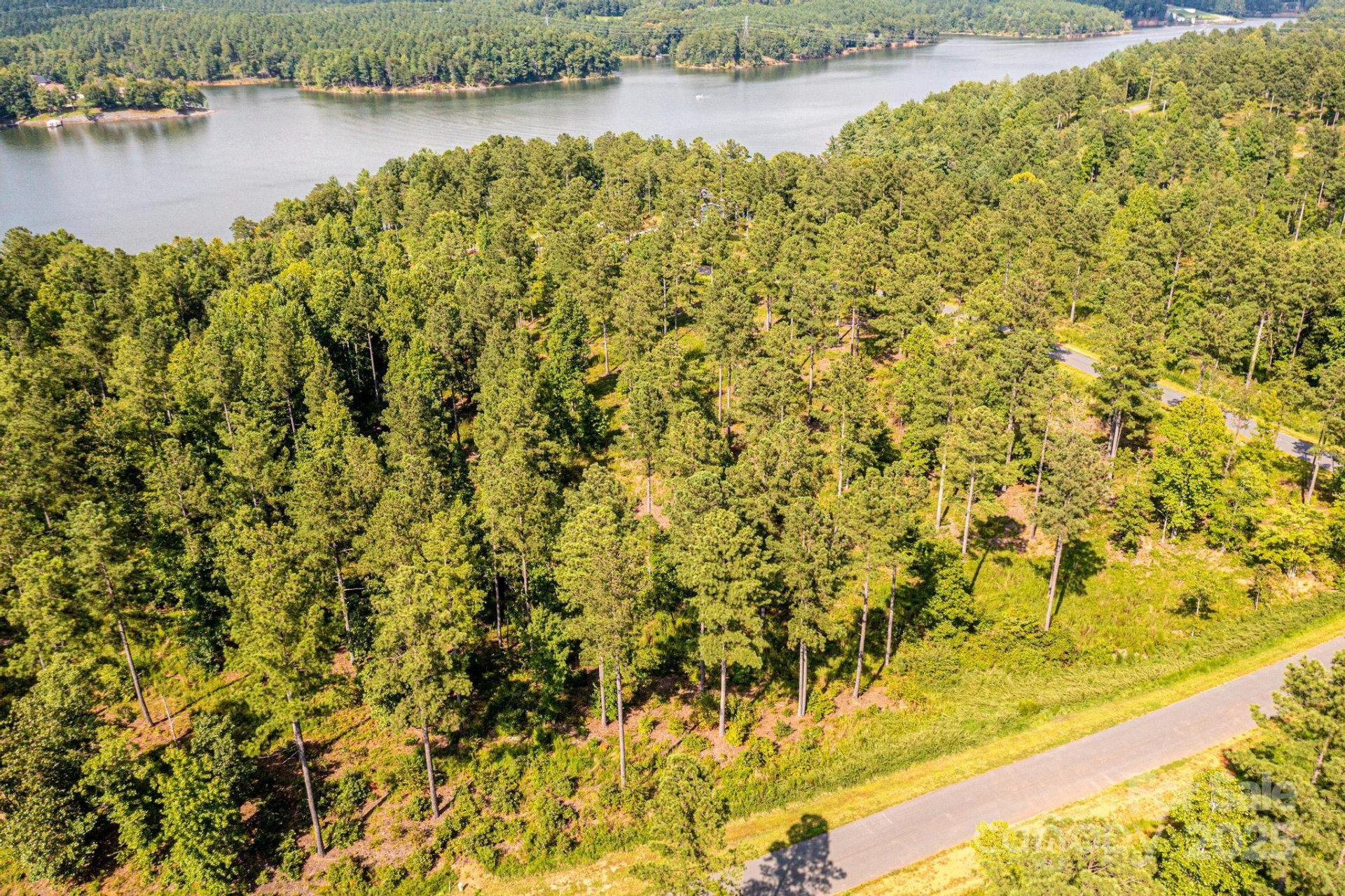 3112 Belford Trail #165 - Photo 6