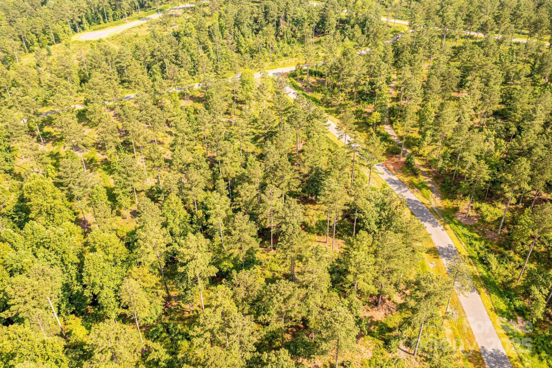 3112 Belford Trail #165 - Photo 7