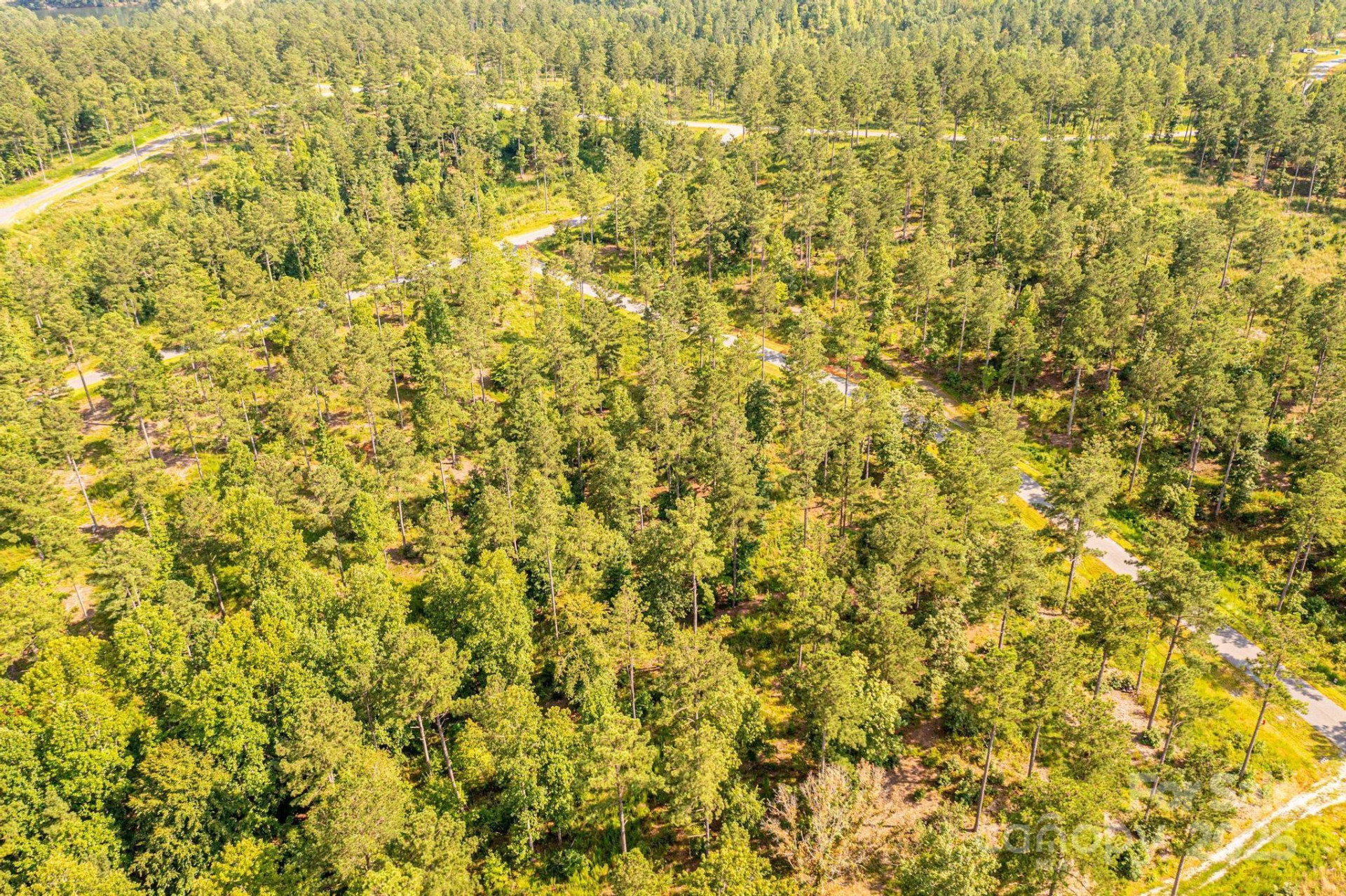 3112 Belford Trail #165 - Photo 8