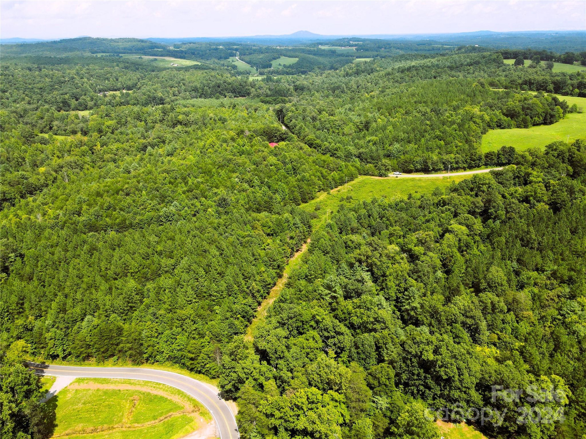 5157 Rhoney Road - Photo 12