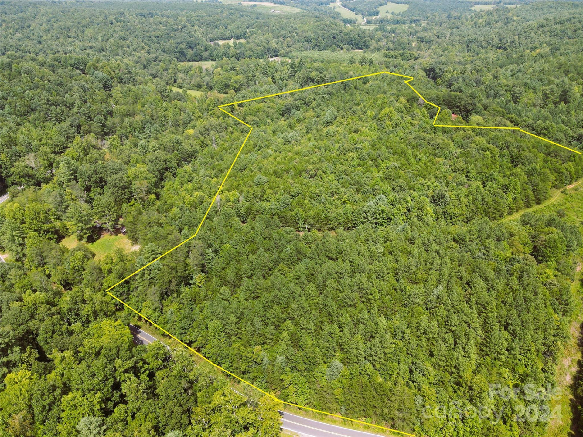 5157 Rhoney Road - Photo 13