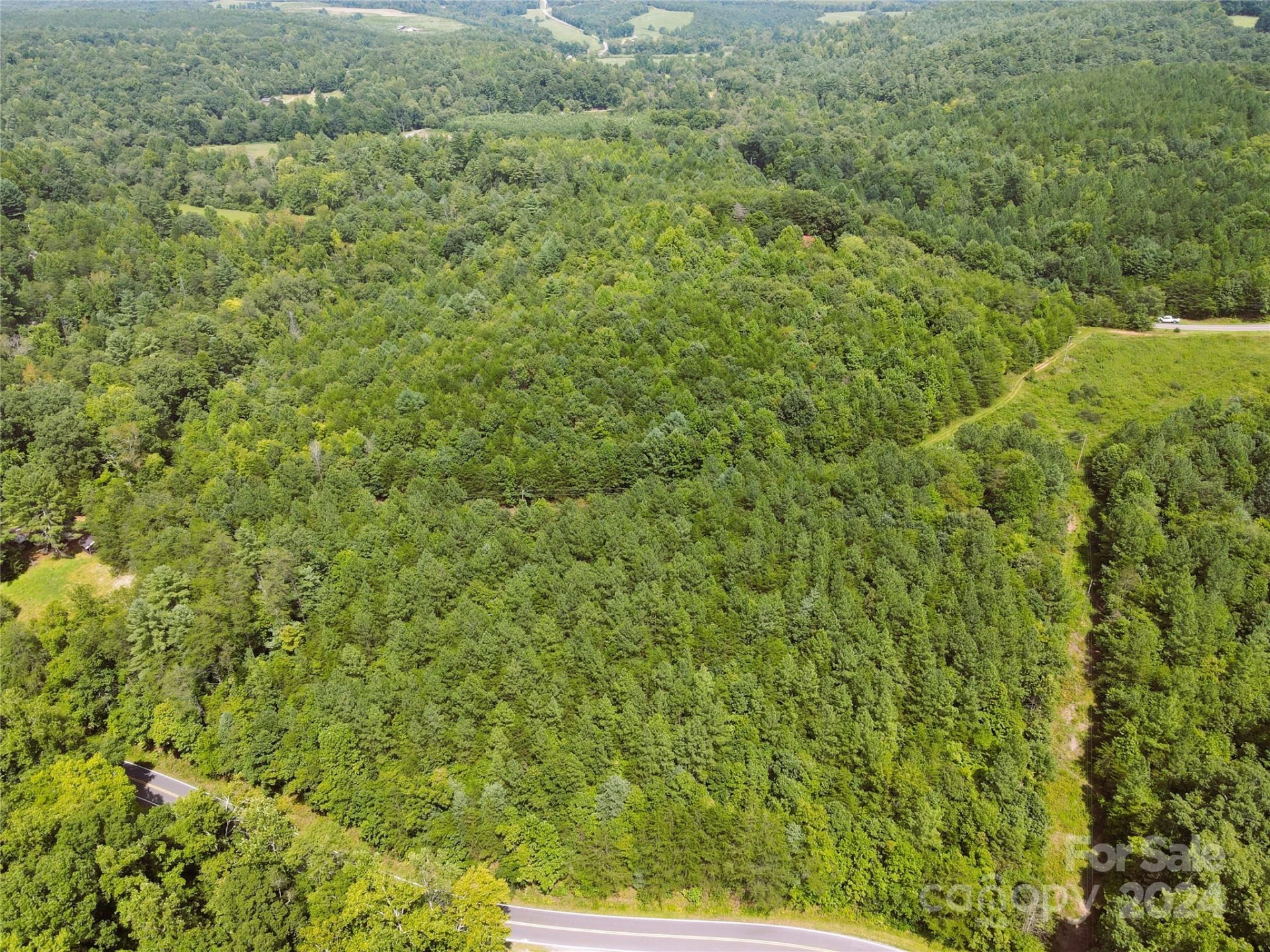 5157 Rhoney Road - Photo 14