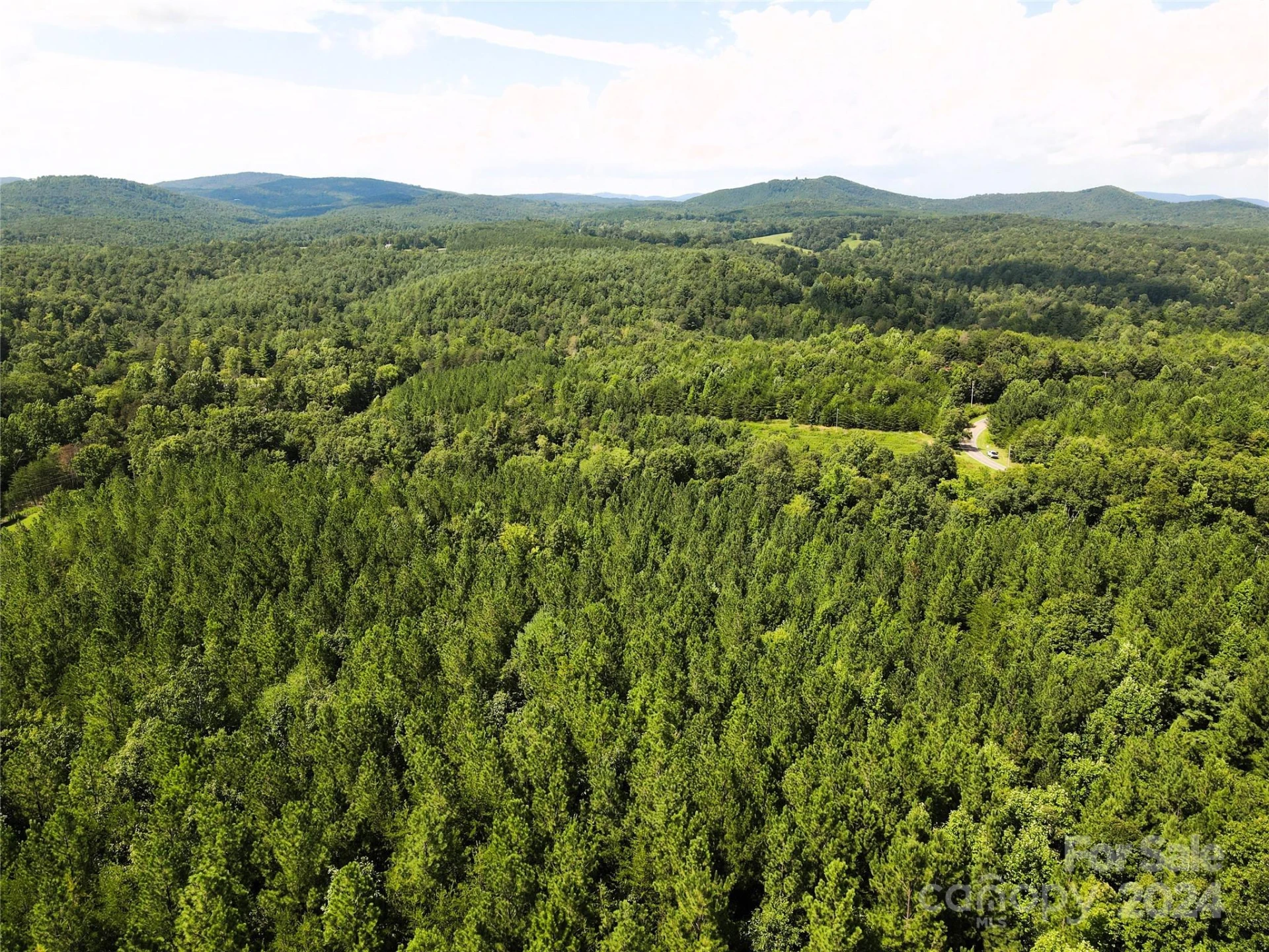5157 Rhoney Road - Photo 17