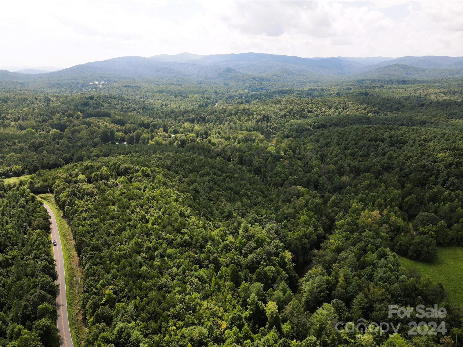 5157 Rhoney Road - Photo 19