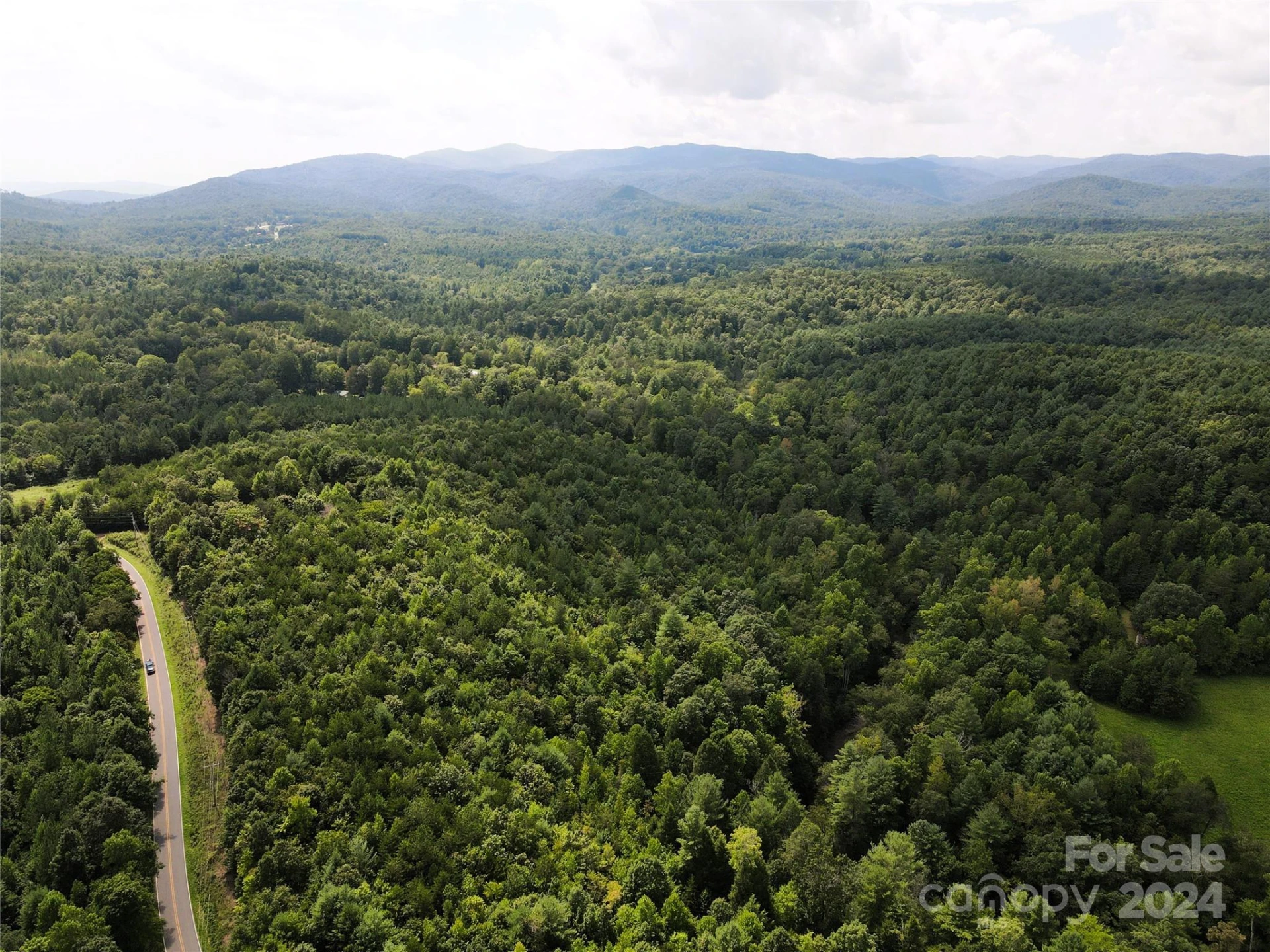 5157 Rhoney Road - Photo 19