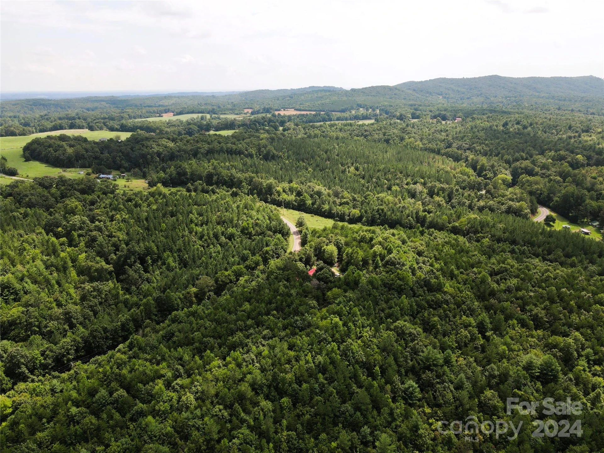 5157 Rhoney Road - Photo 20