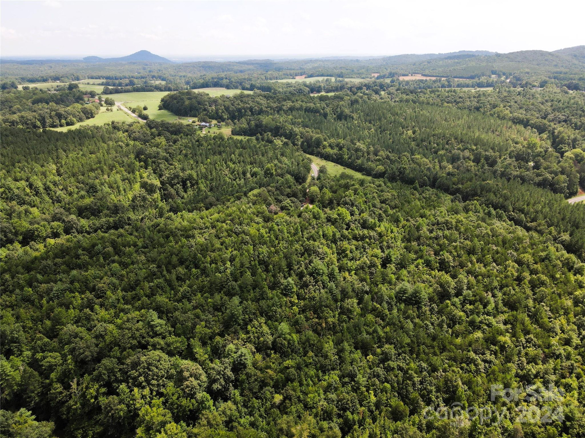 5157 Rhoney Road - Photo 21