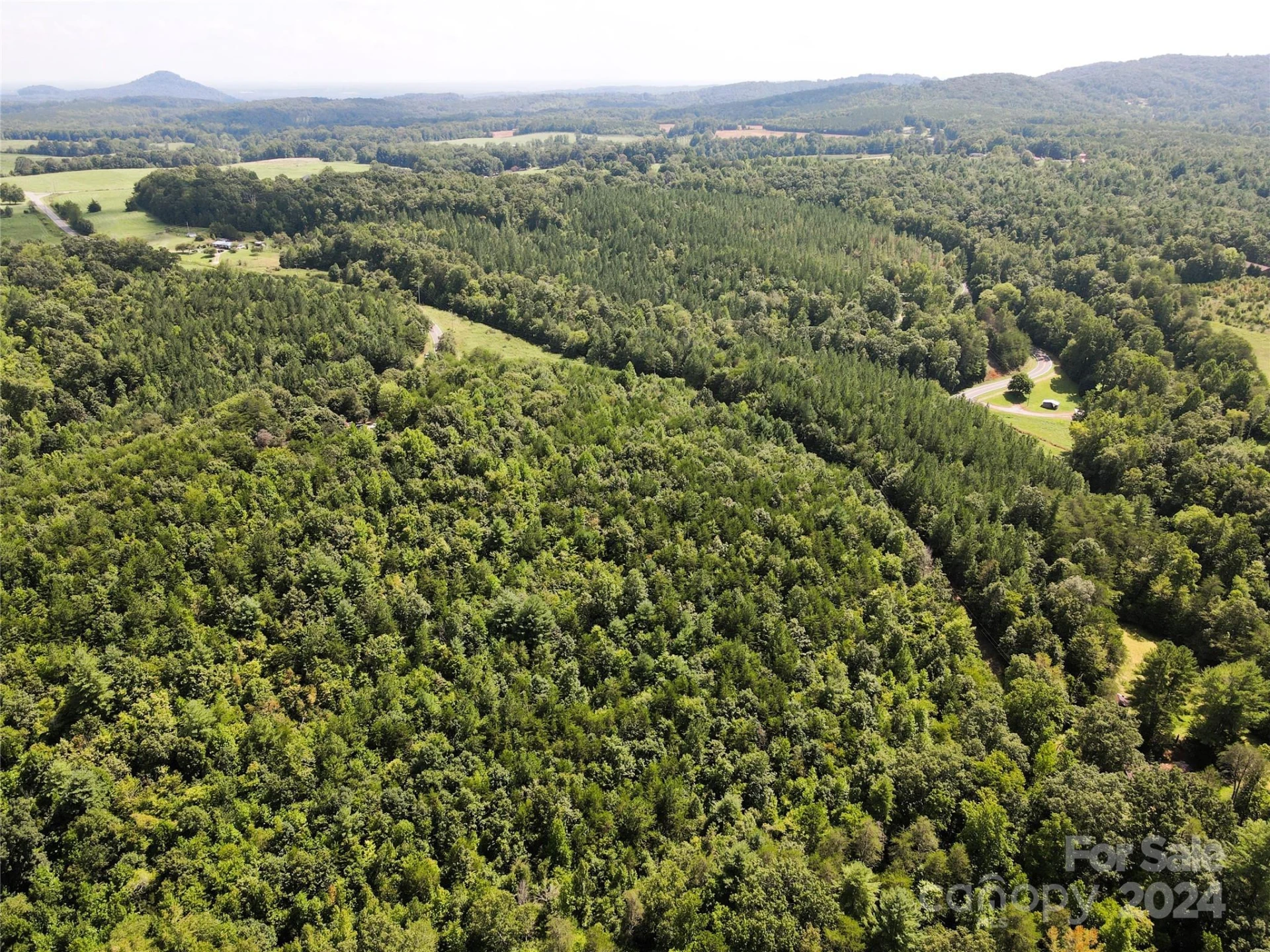 5157 Rhoney Road - Photo 22