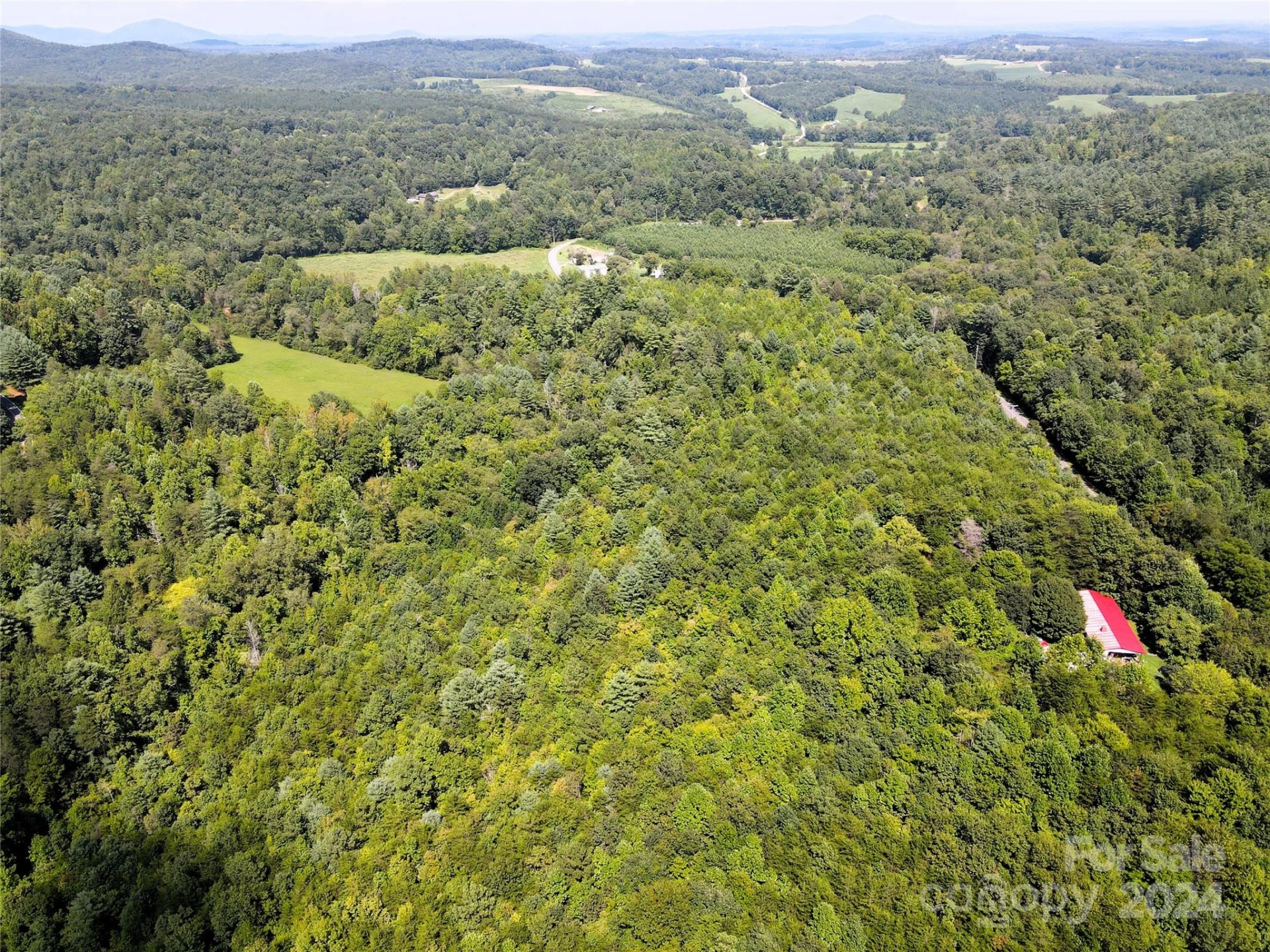 5157 Rhoney Road - Photo 25