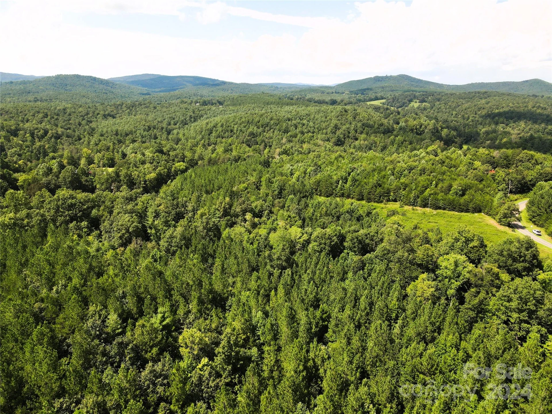 5157 Rhoney Road - Photo 28