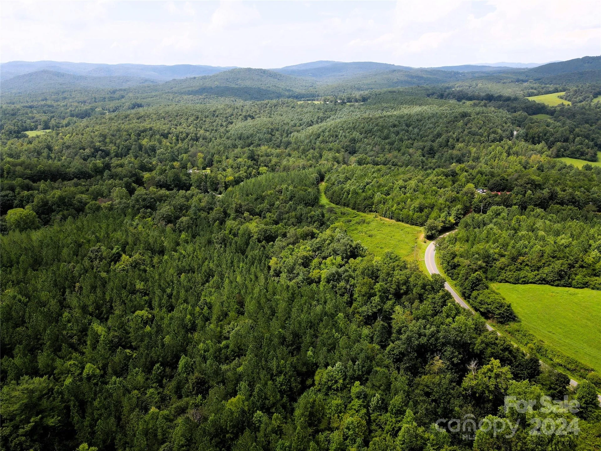 5157 Rhoney Road - Photo 6