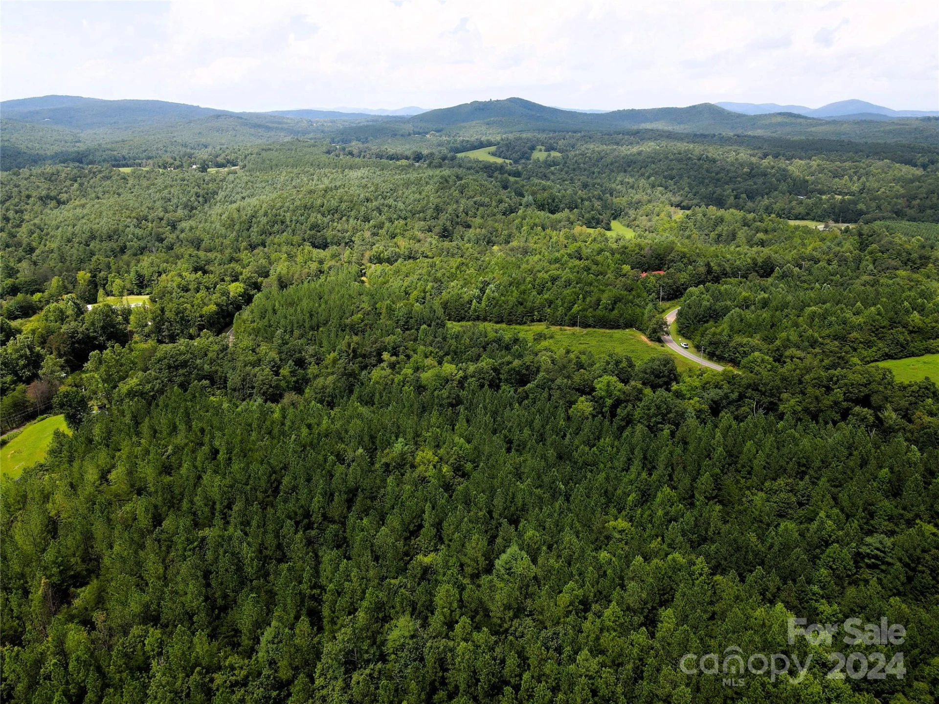 5157 Rhoney Road - Photo 8