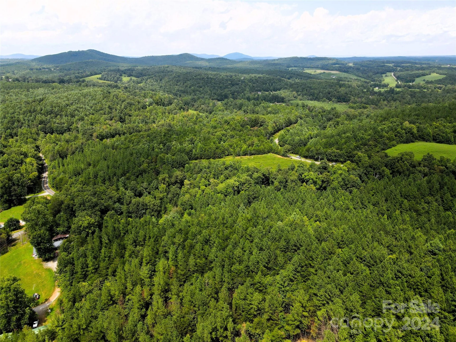 5157 Rhoney Road - Photo 9