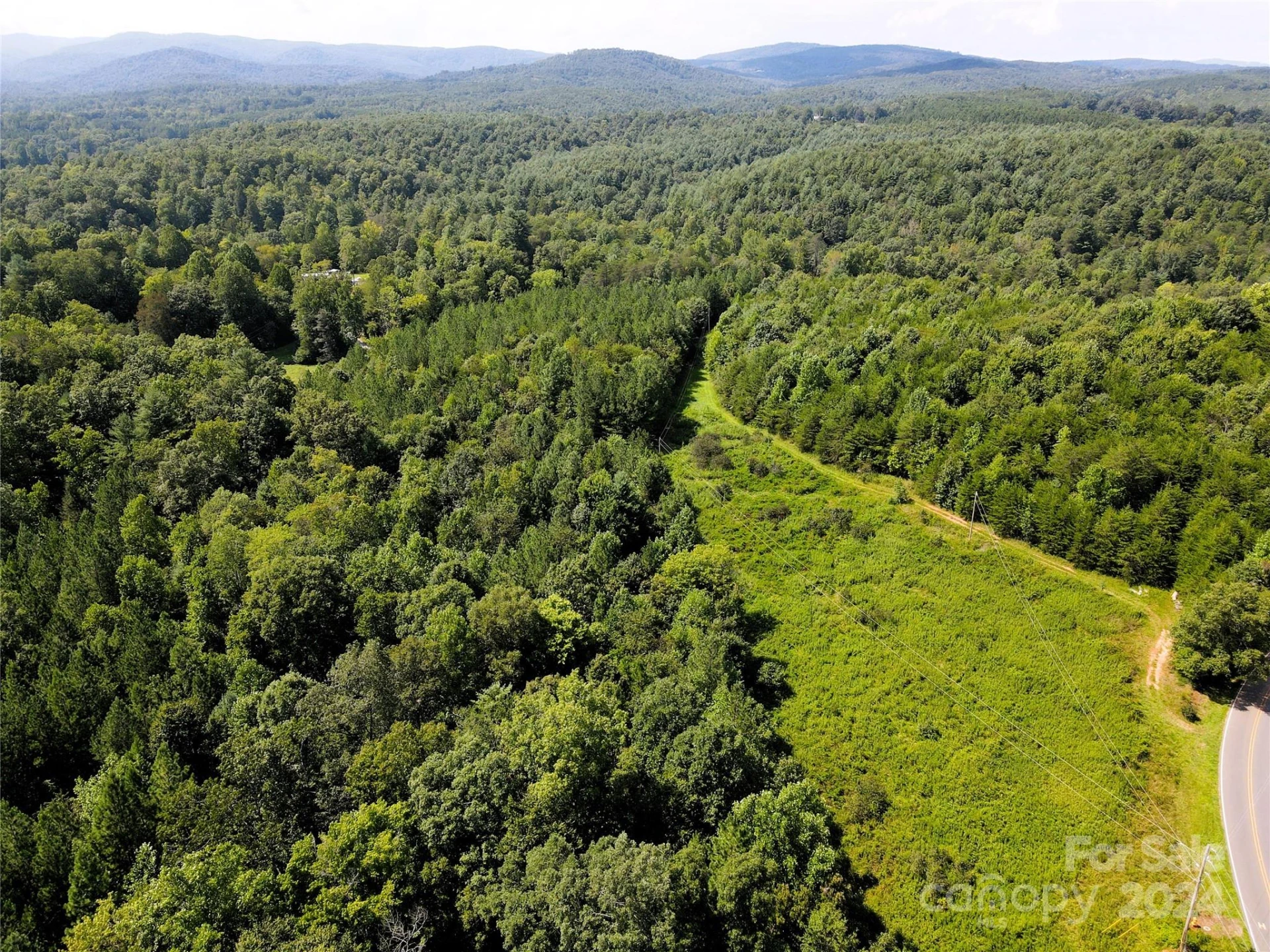 5157 Rhoney Road - Photo 10