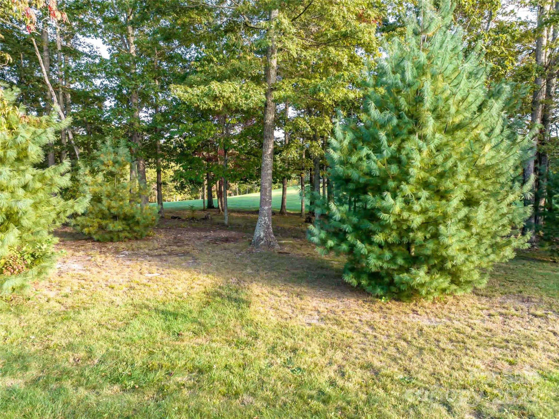 337 Chukar Way #Lot 21 - Photo 4