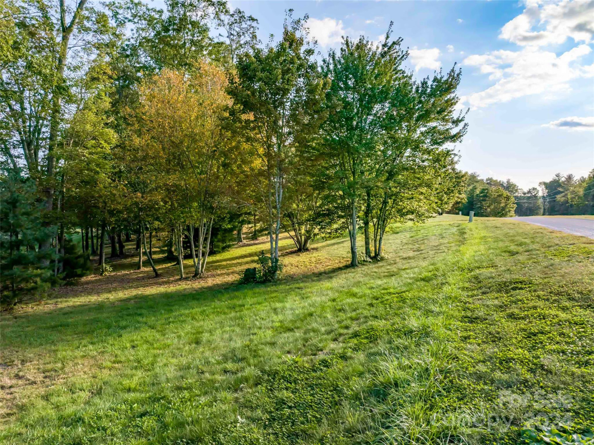 337 Chukar Way #Lot 21 - Photo 5