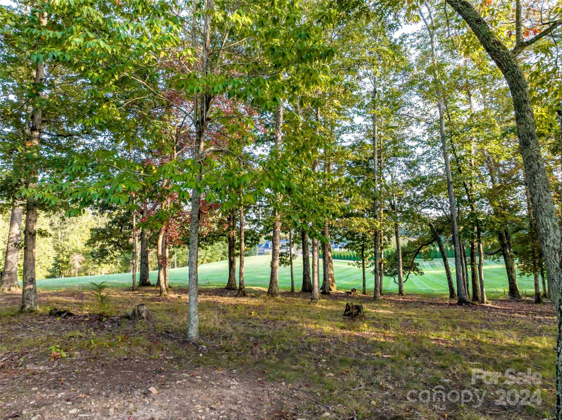 337 Chukar Way #Lot 21 - Photo 6