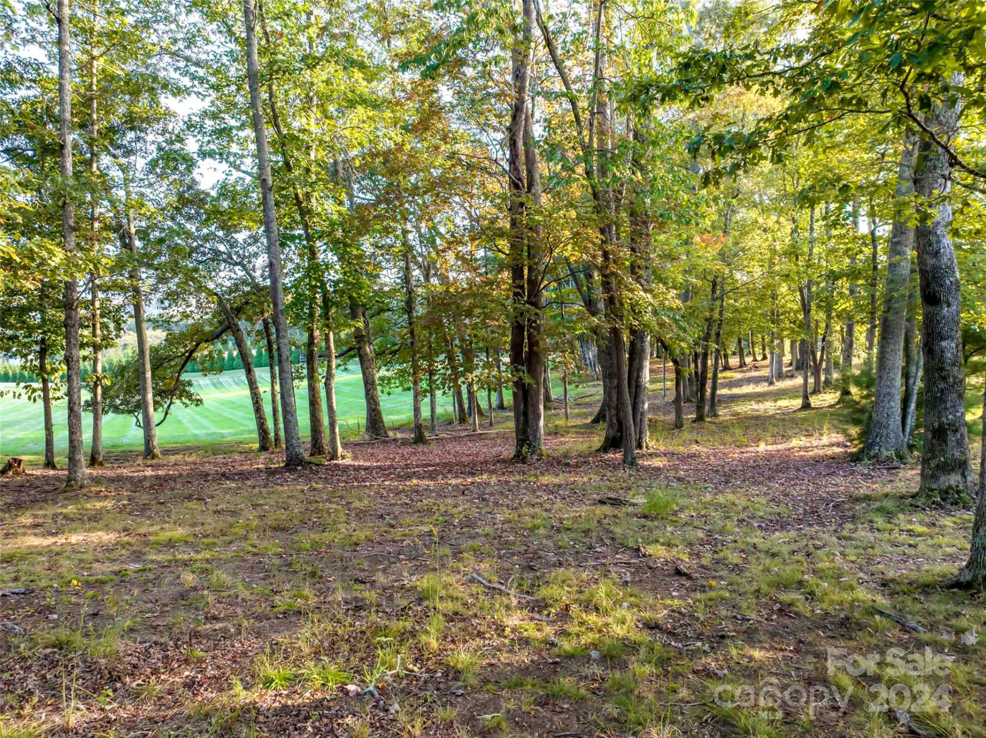 337 Chukar Way #Lot 21 - Photo 7