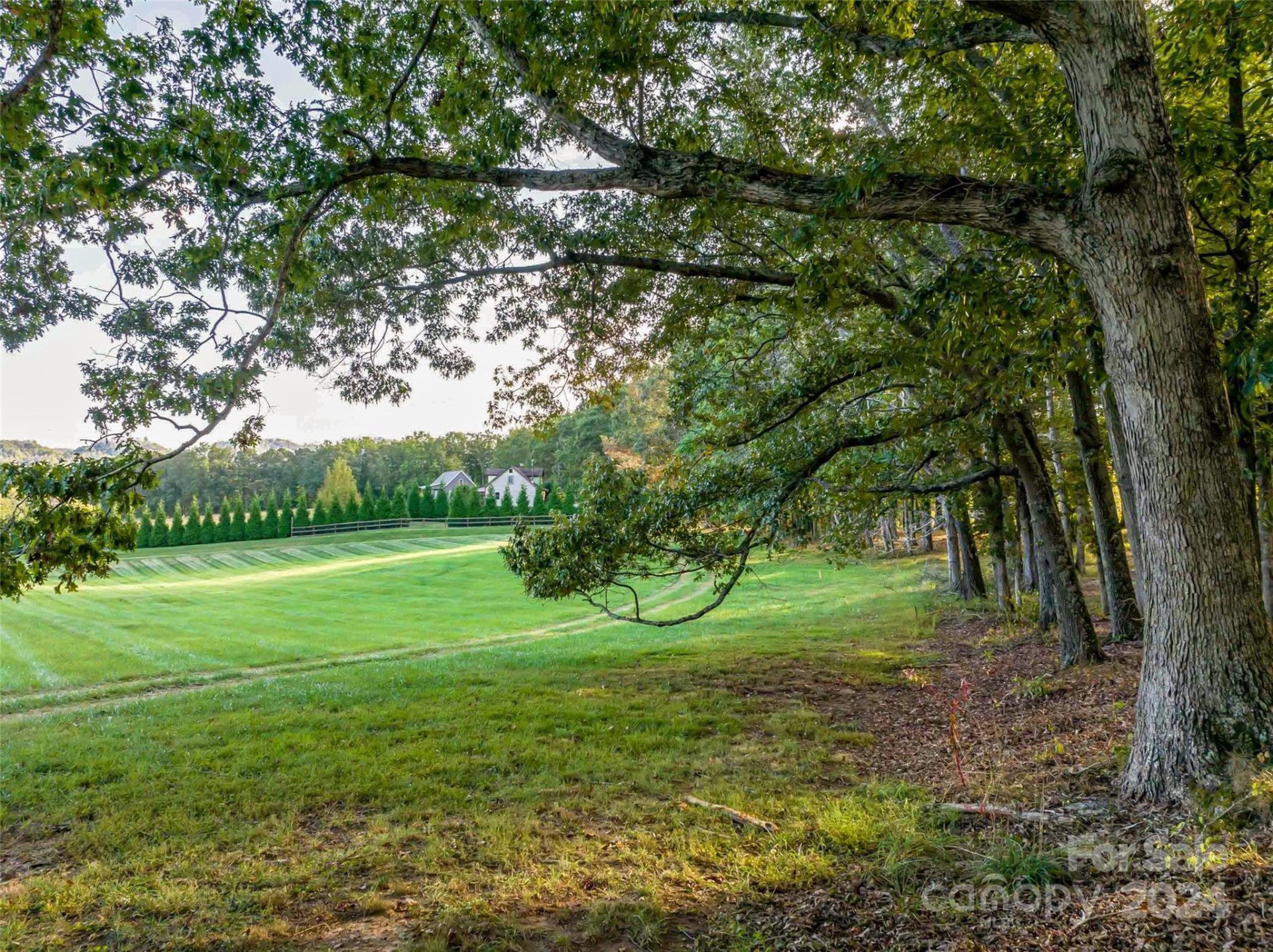 337 Chukar Way #Lot 21 - Photo 9