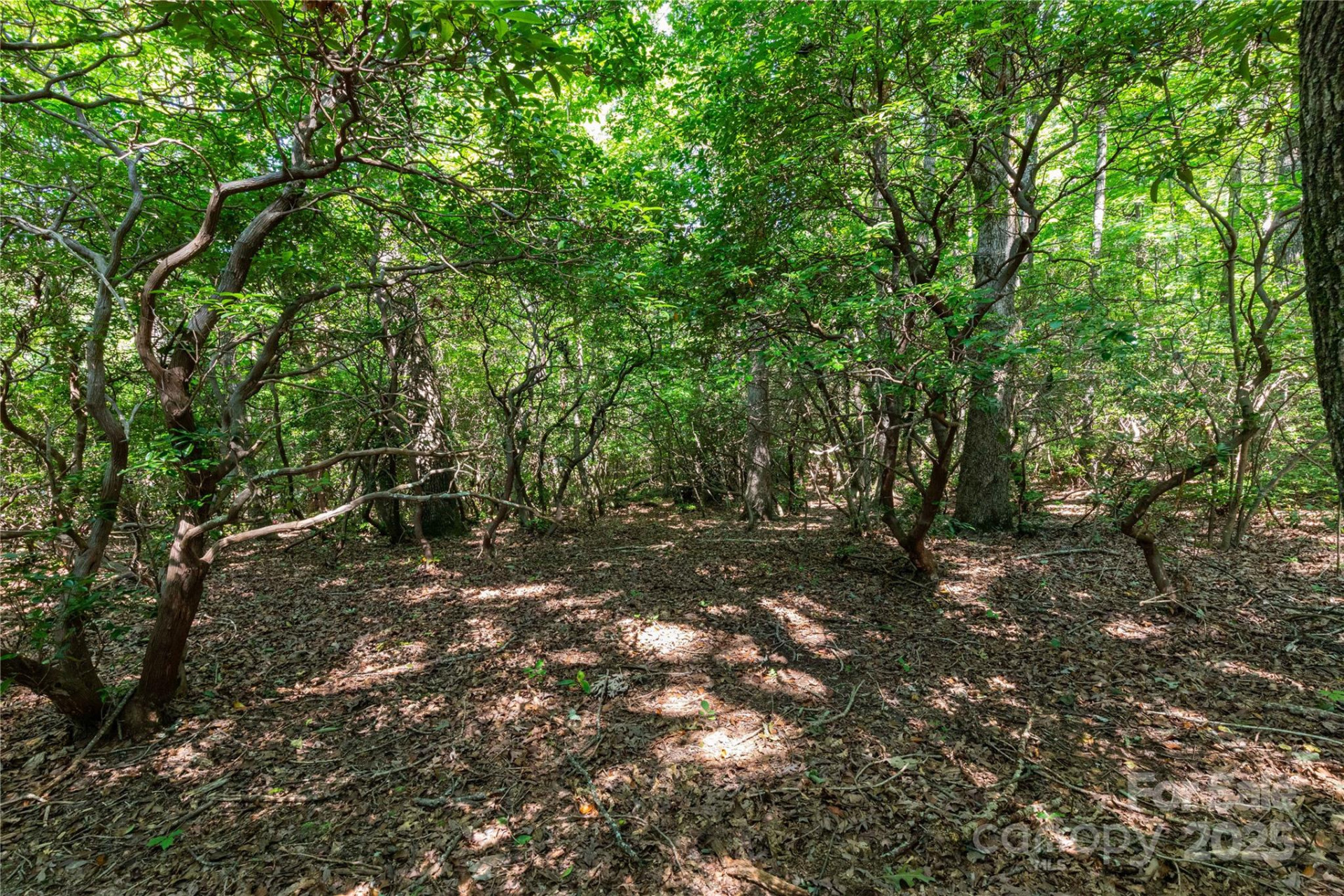 9999 Arrowhead Trail #74, 75, and 76 - Photo 3