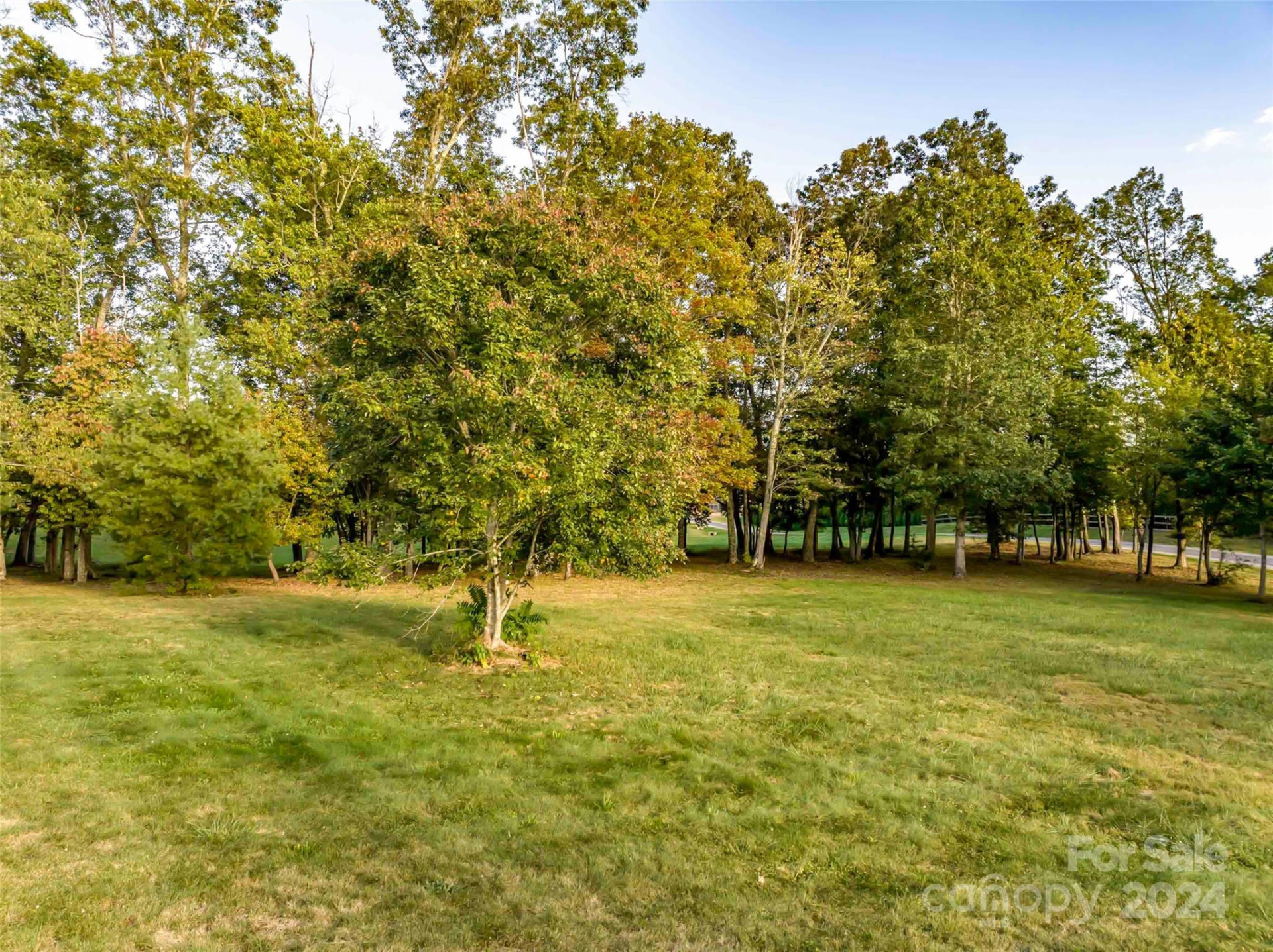 365 Chukar Way #Lot 22 - Photo 4