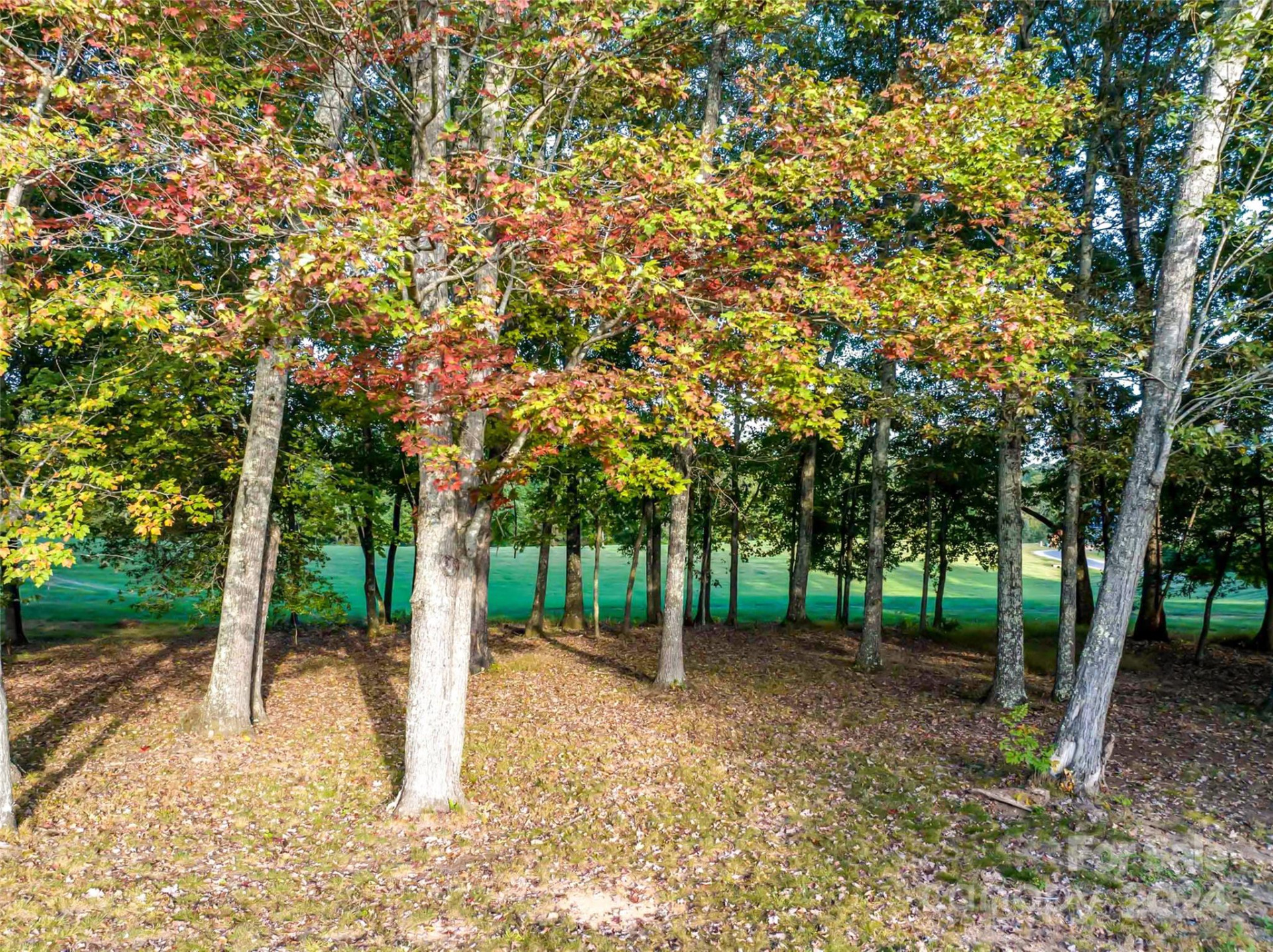 365 Chukar Way #Lot 22 - Photo 8