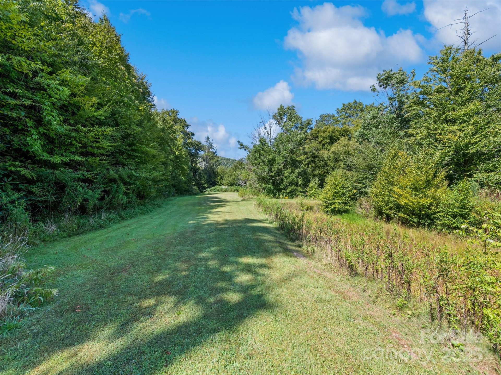 11178 US 19 Highway - Photo 12