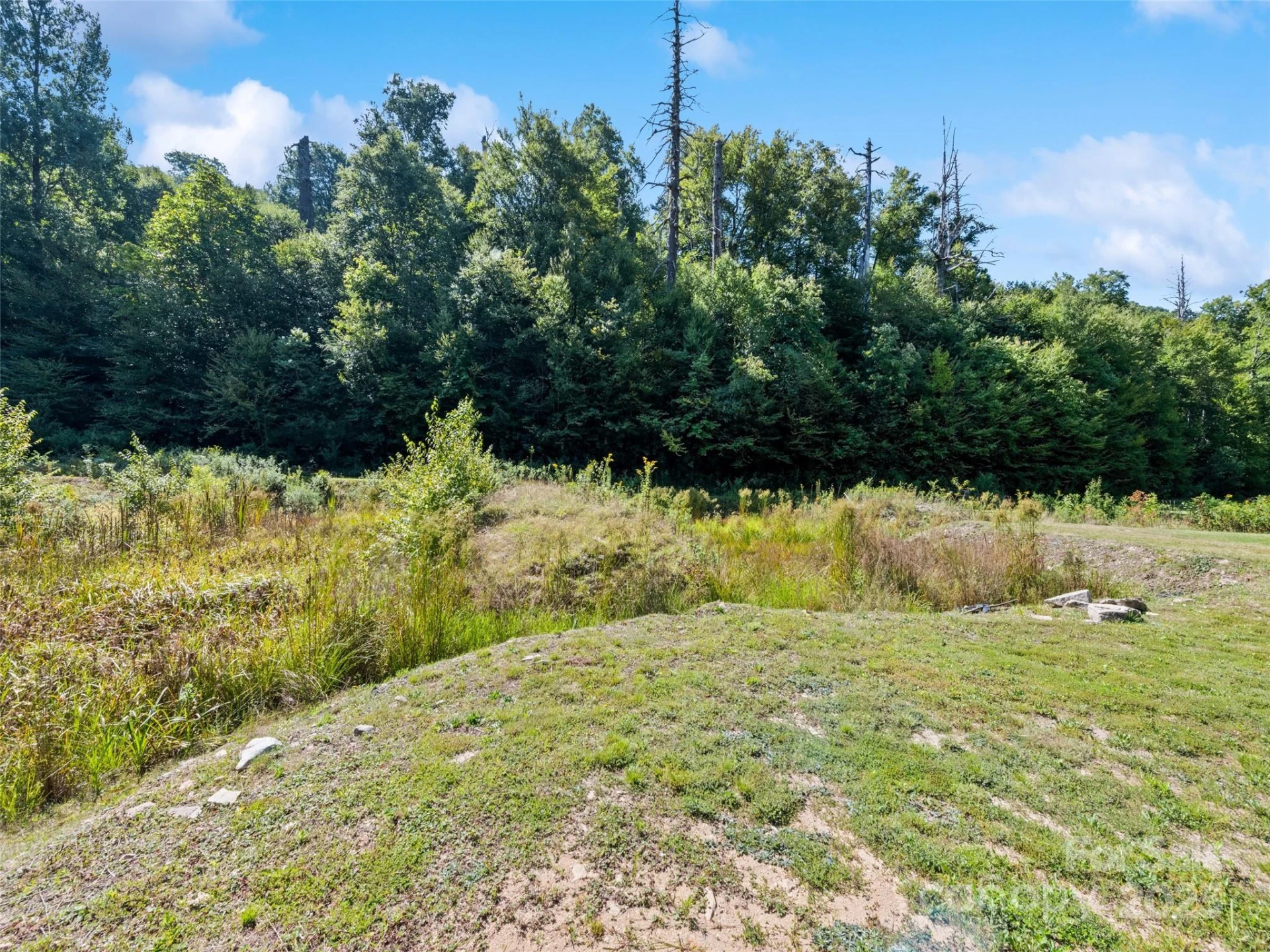11178 US 19 Highway - Photo 9