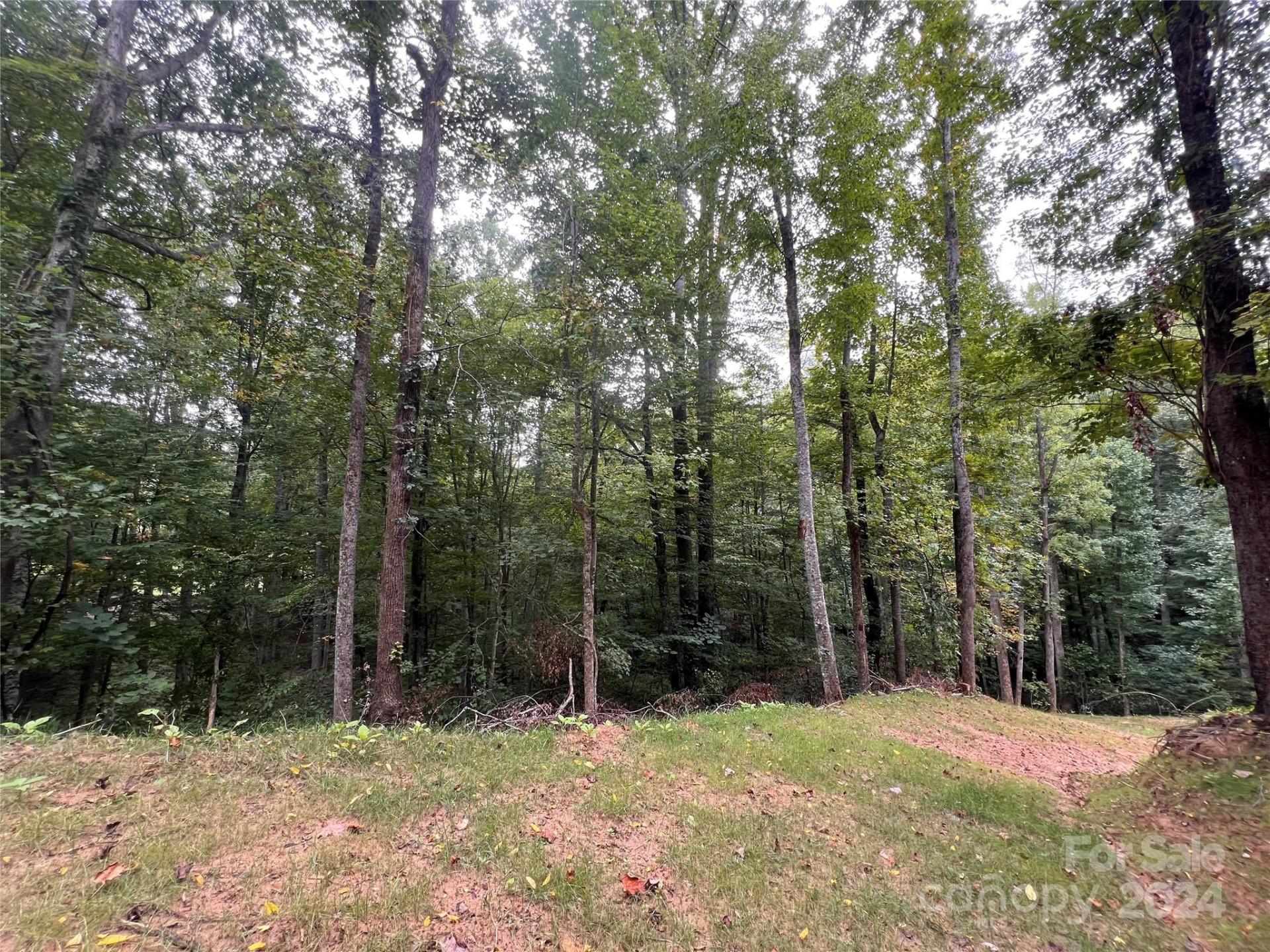 0 Country Club Drive #G-1&2 - Photo 4