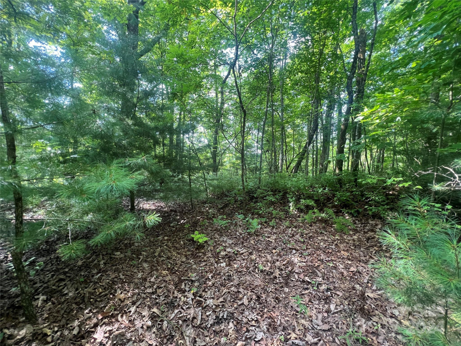 000 Laurel Thicket Lane - Photo 11