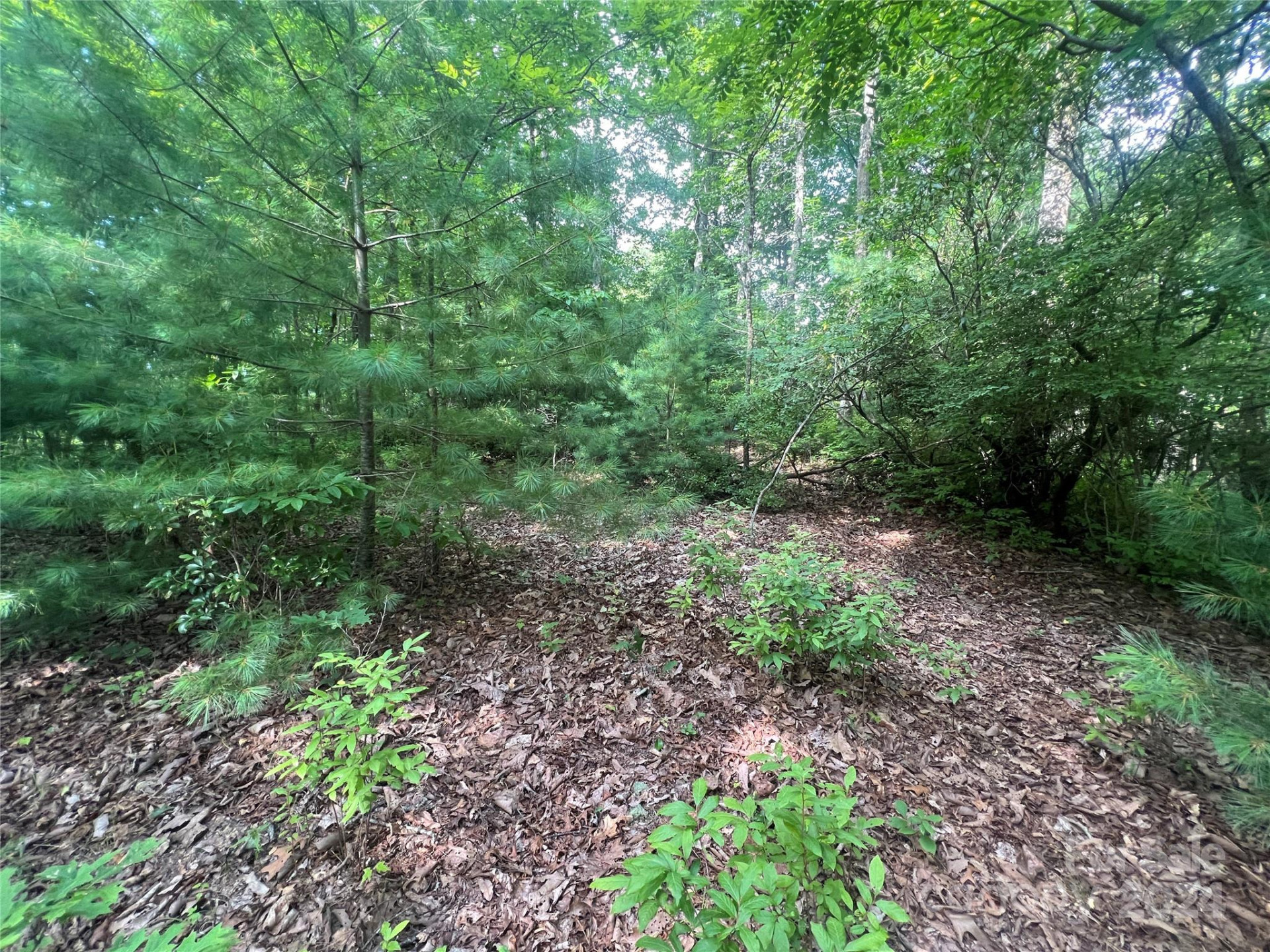 000 Laurel Thicket Lane - Photo 12