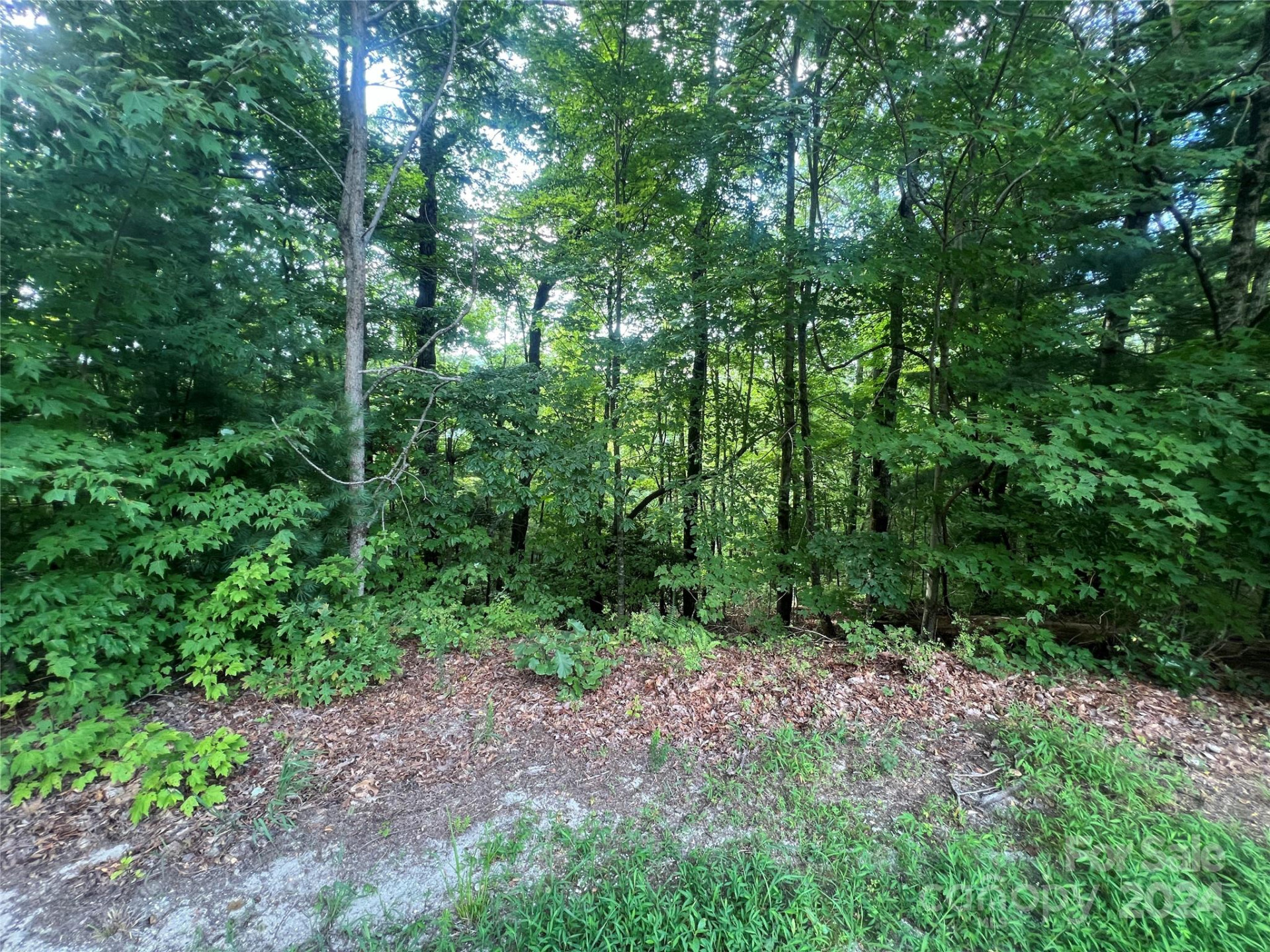 000 Laurel Thicket Lane - Photo 14
