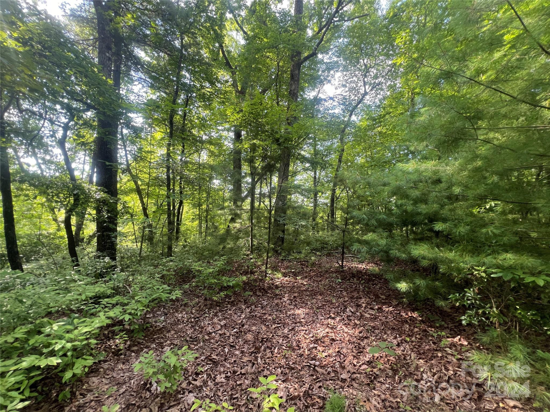 000 Laurel Thicket Lane - Photo 4