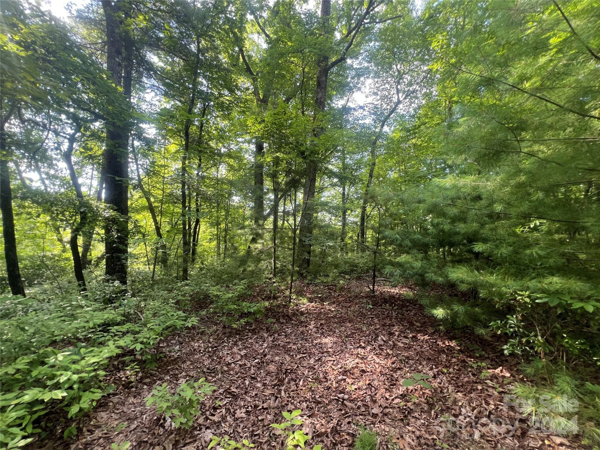 000 Laurel Thicket Lane - Photo 4