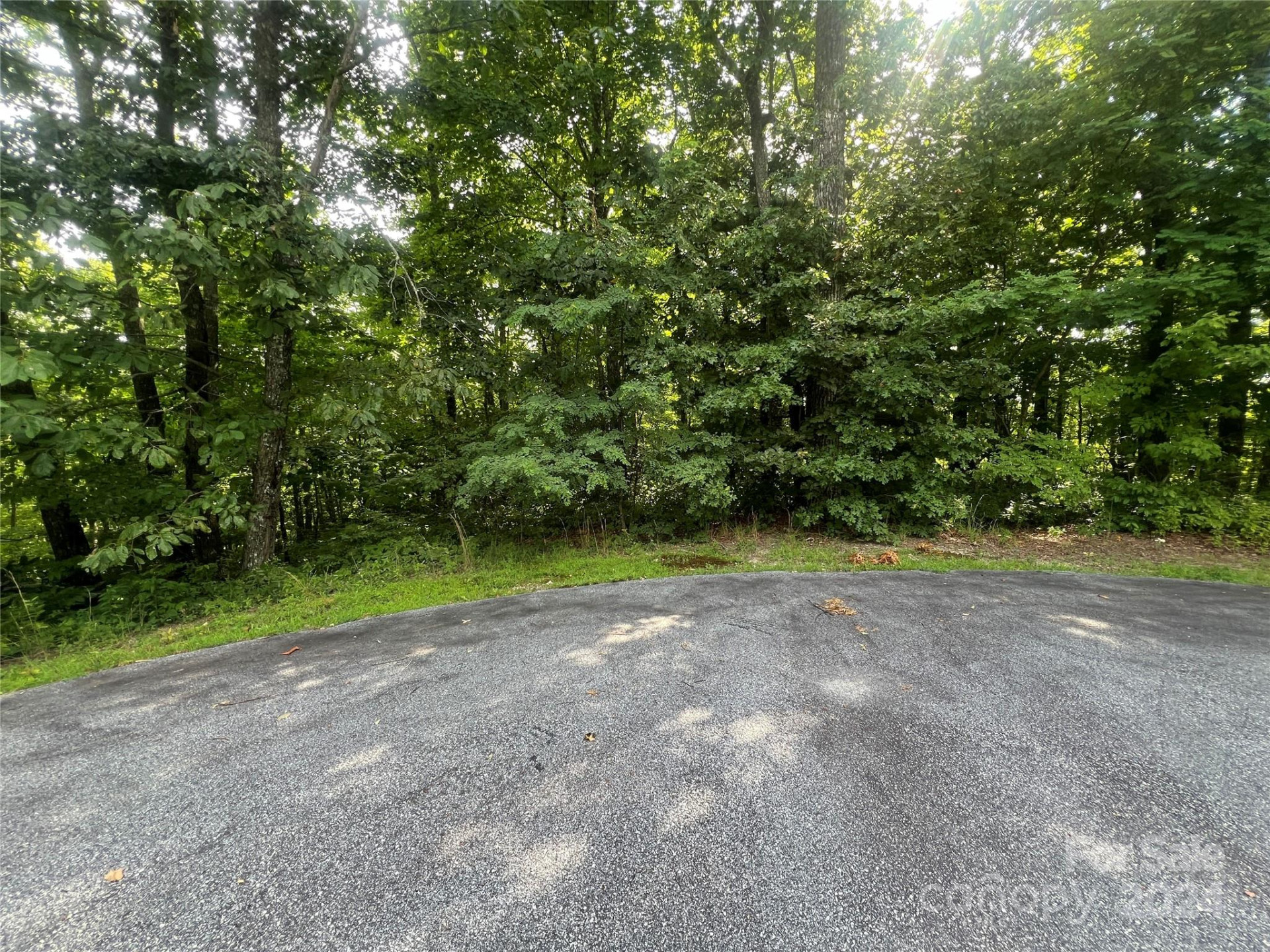 000 Laurel Thicket Lane - Photo 5