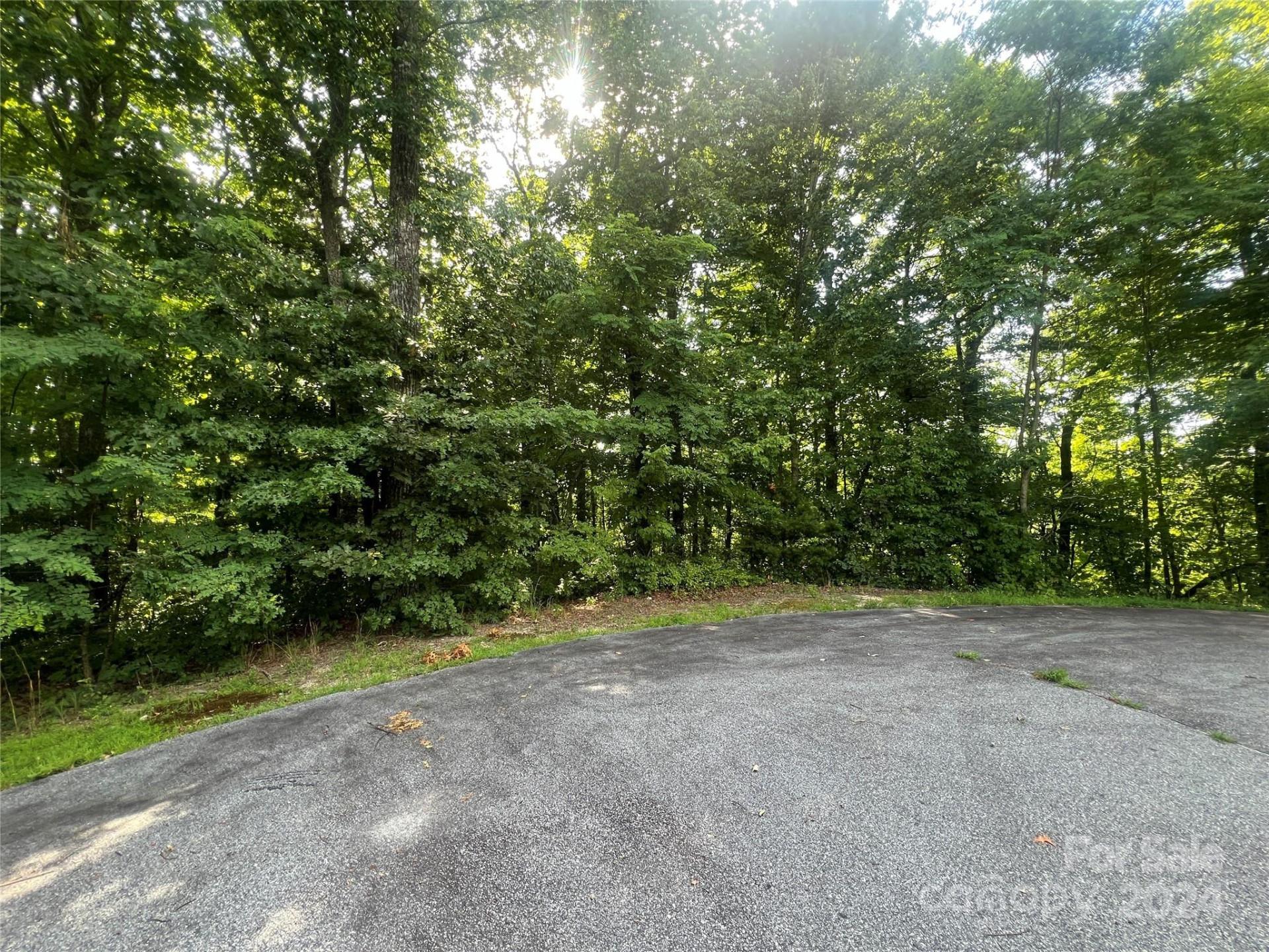 000 Laurel Thicket Lane - Photo 6