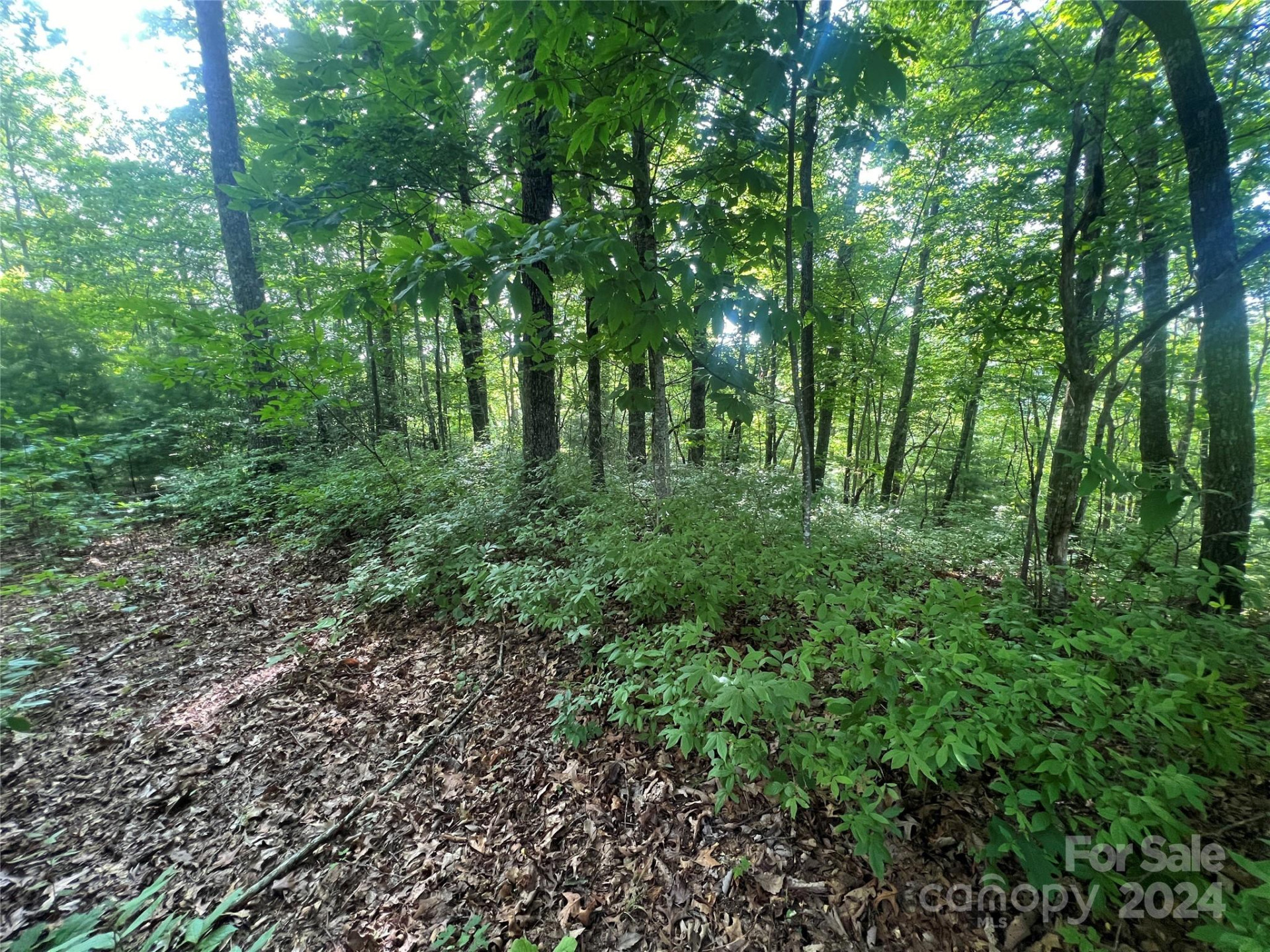 000 Laurel Thicket Lane - Photo 8