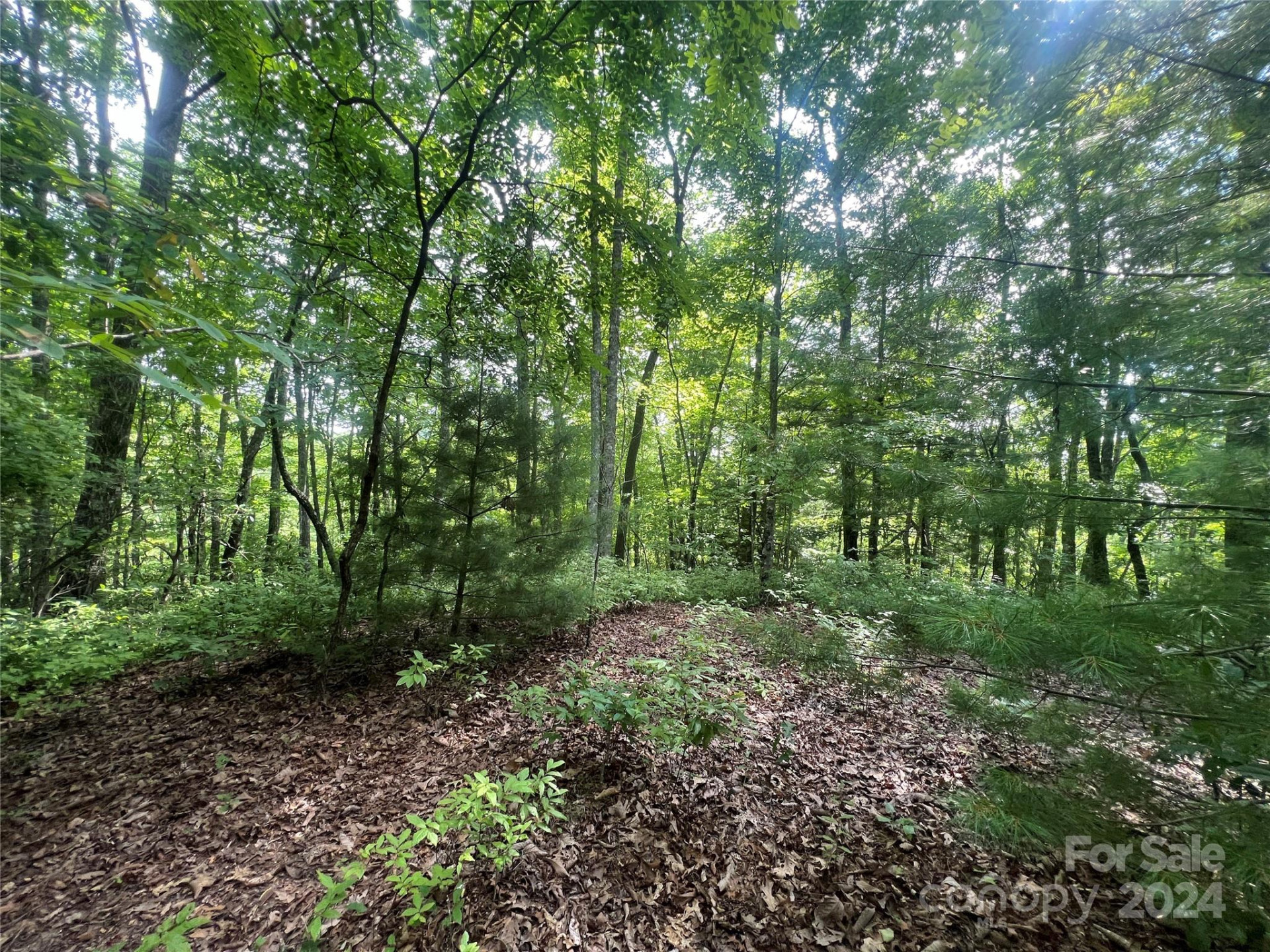 000 Laurel Thicket Lane - Photo 10